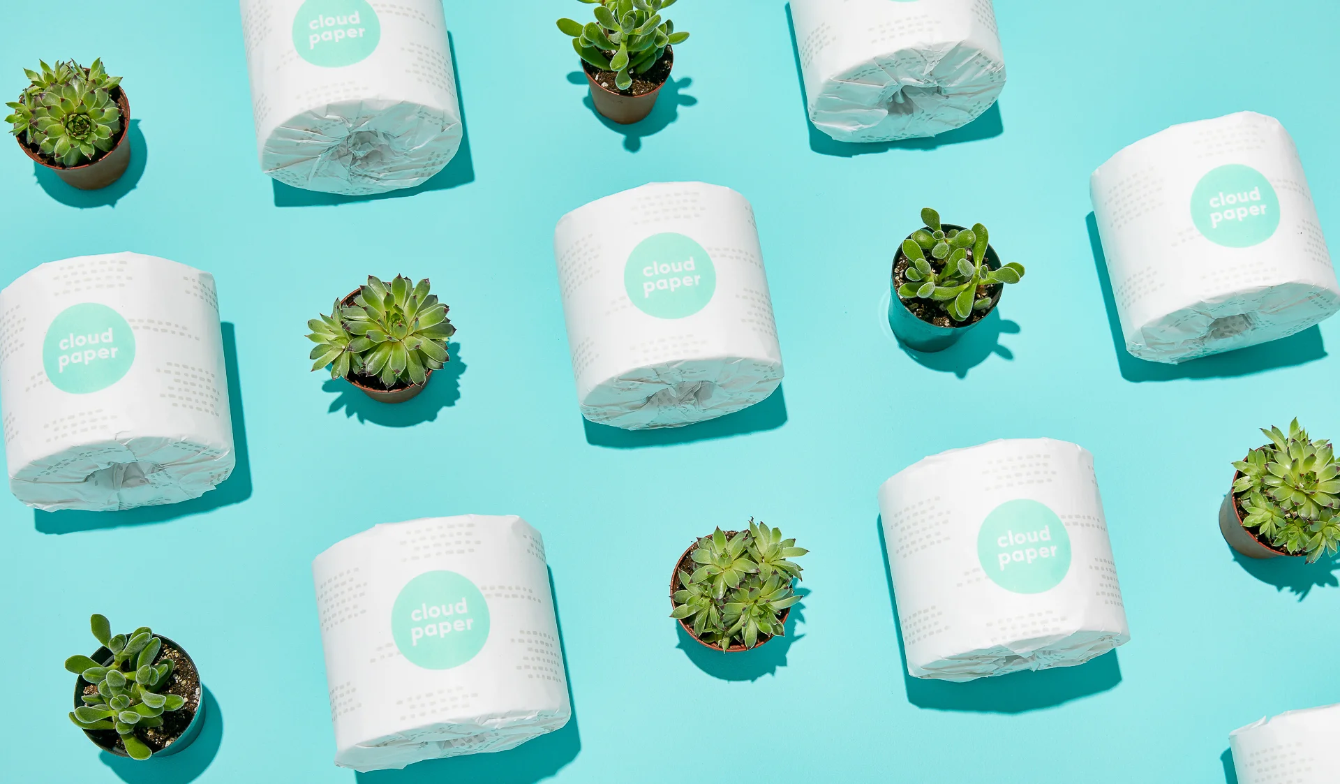 Manuela_Summer19_still_life-1.jpg