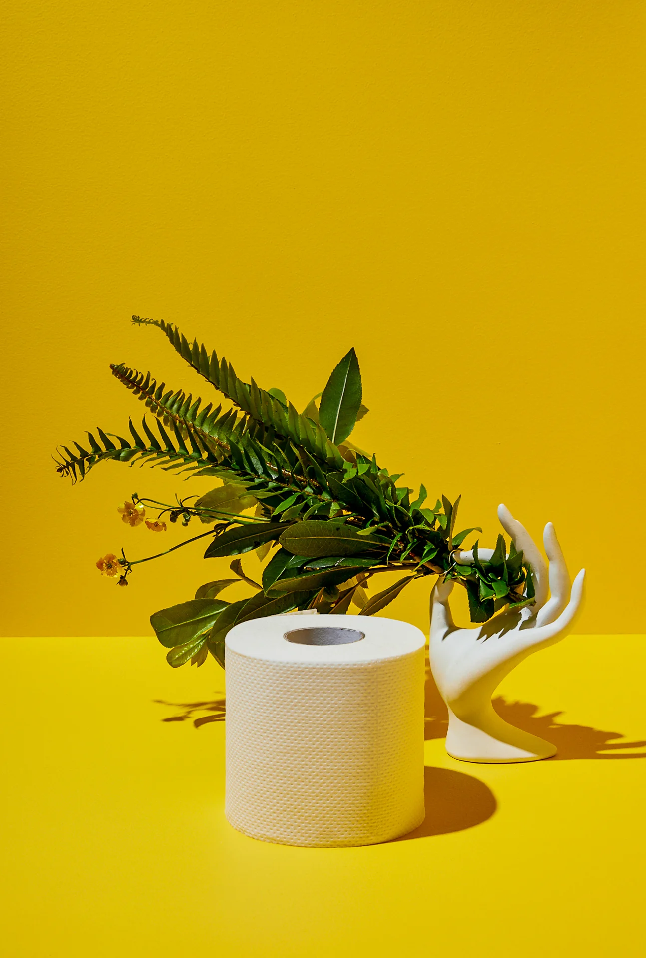Manuela_Summer19_still_life-2.jpg