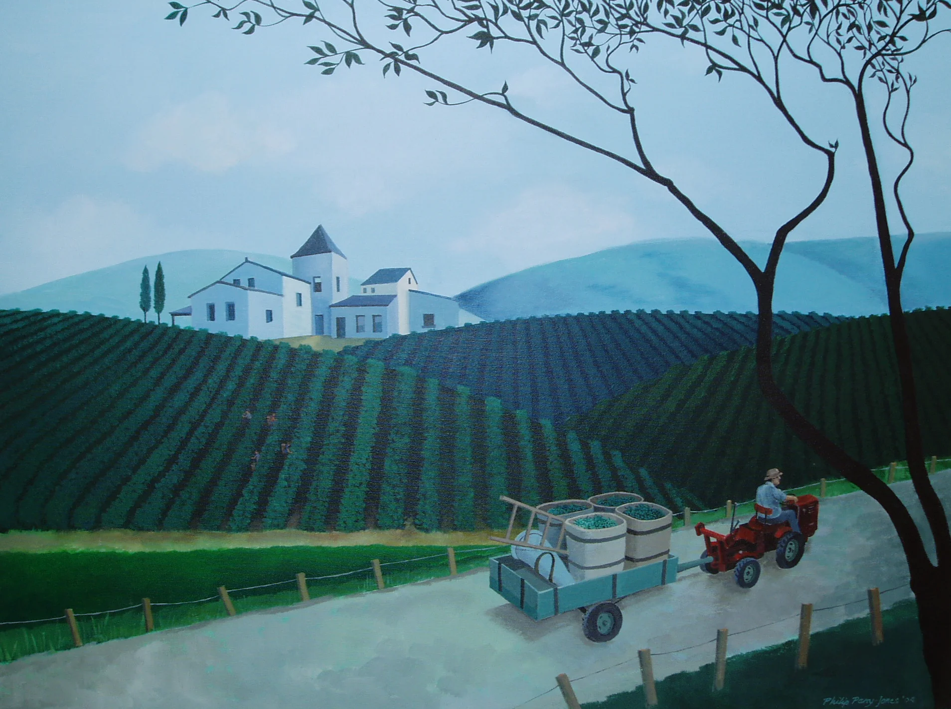 The Vineyard