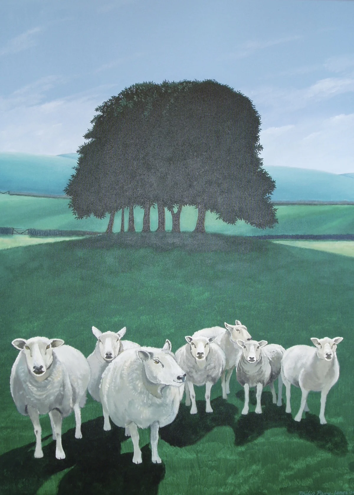Sheep