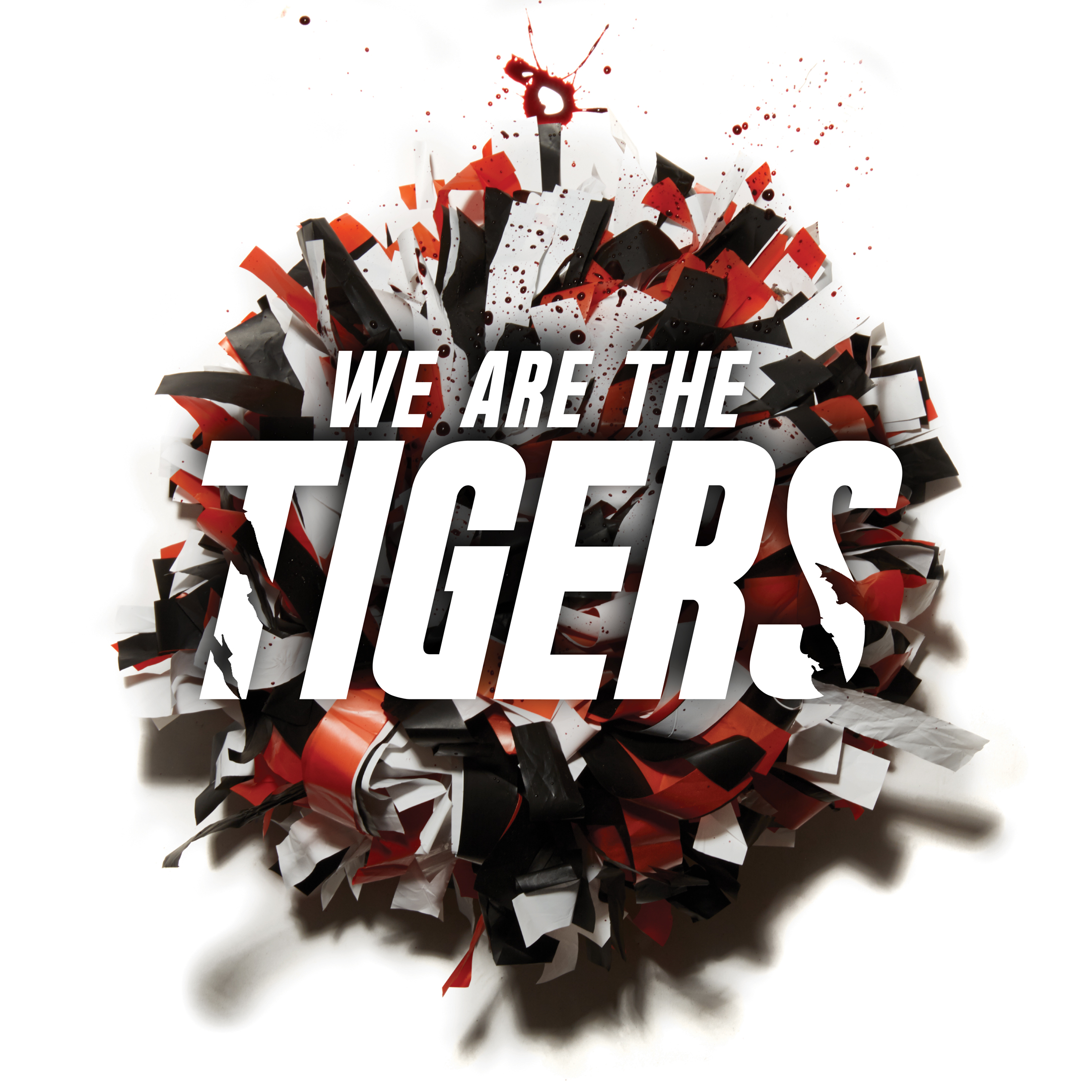  Musical Logo and Visual Identity (Genre: Dark Comedy)  2015  " We Are The Tigers "&nbsp;  Photographer:  Zack DeZon  