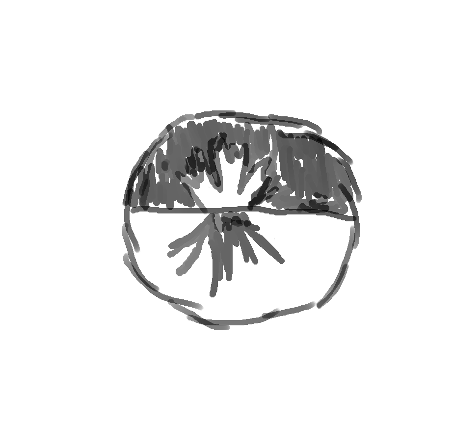 Concepts__0001_Layer-4.png