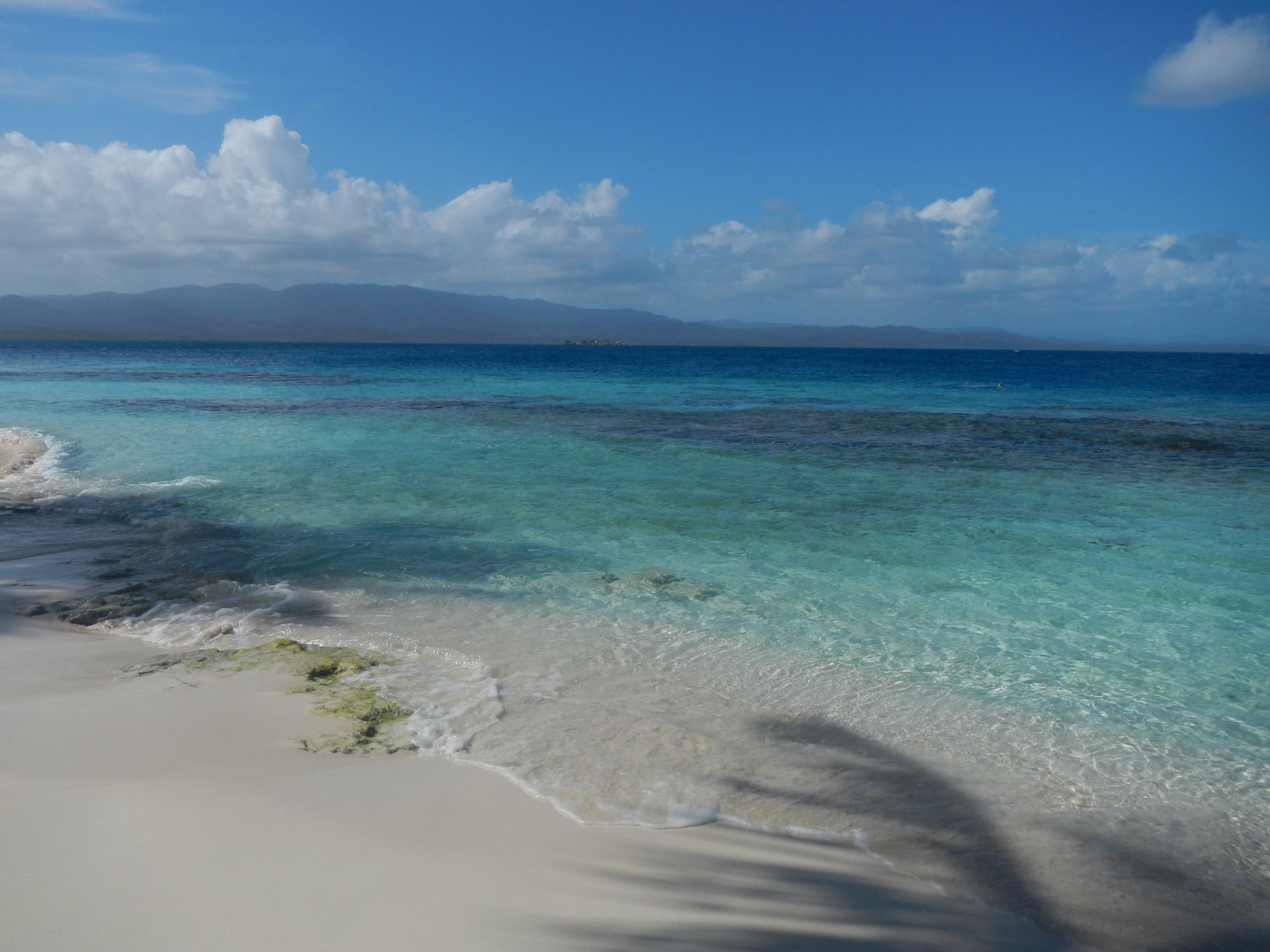 DSCN3418.JPG