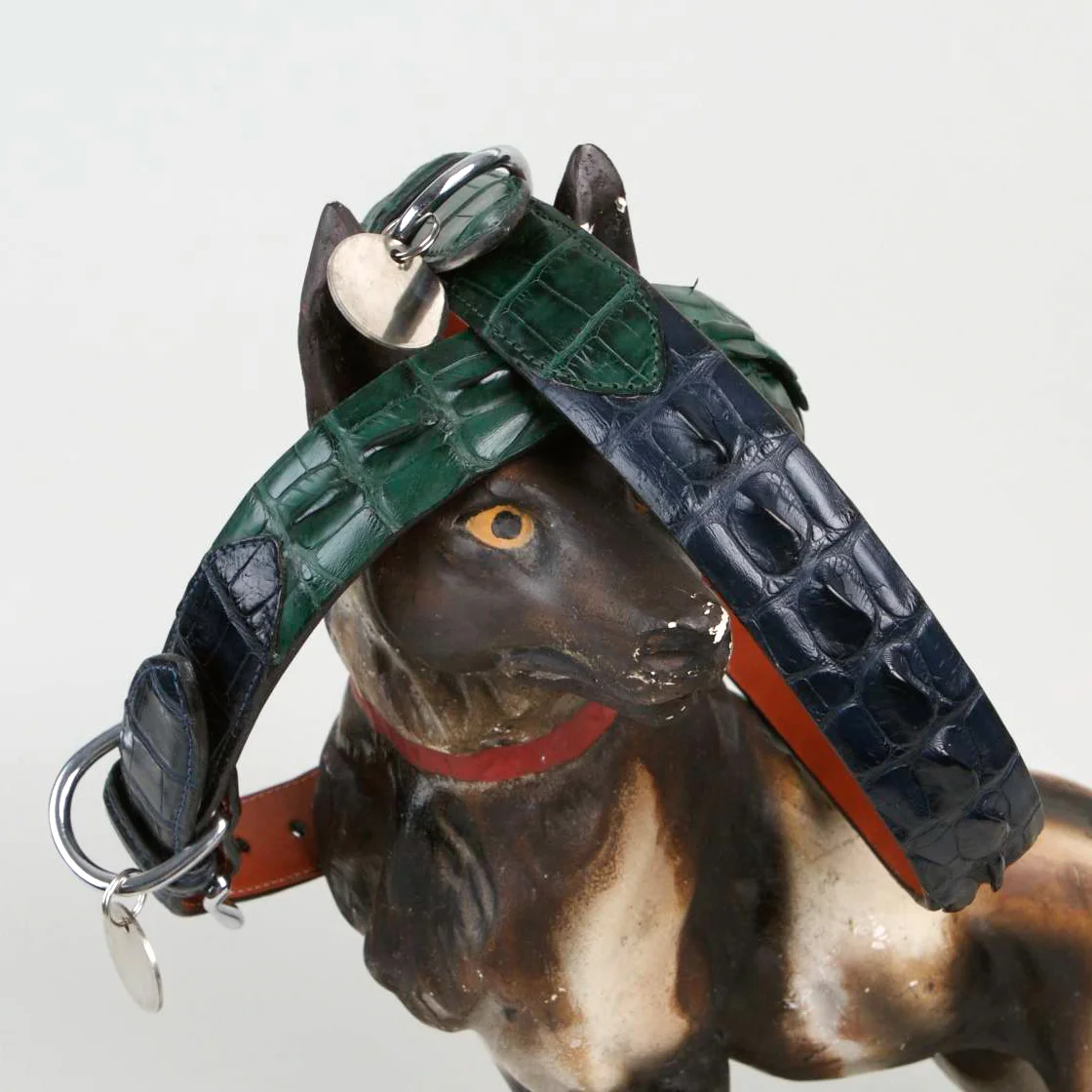 Hornback Alligator Dog Collar
