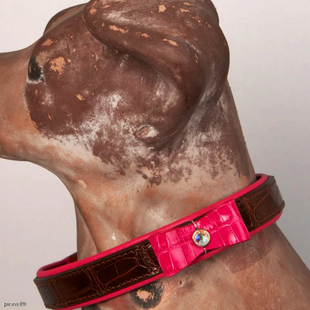 Alligator Print Dog Collar