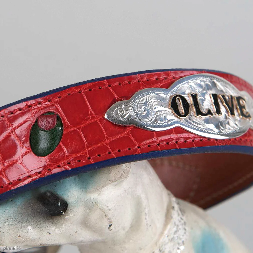 Alligator and Sterling Silver Dog Collar