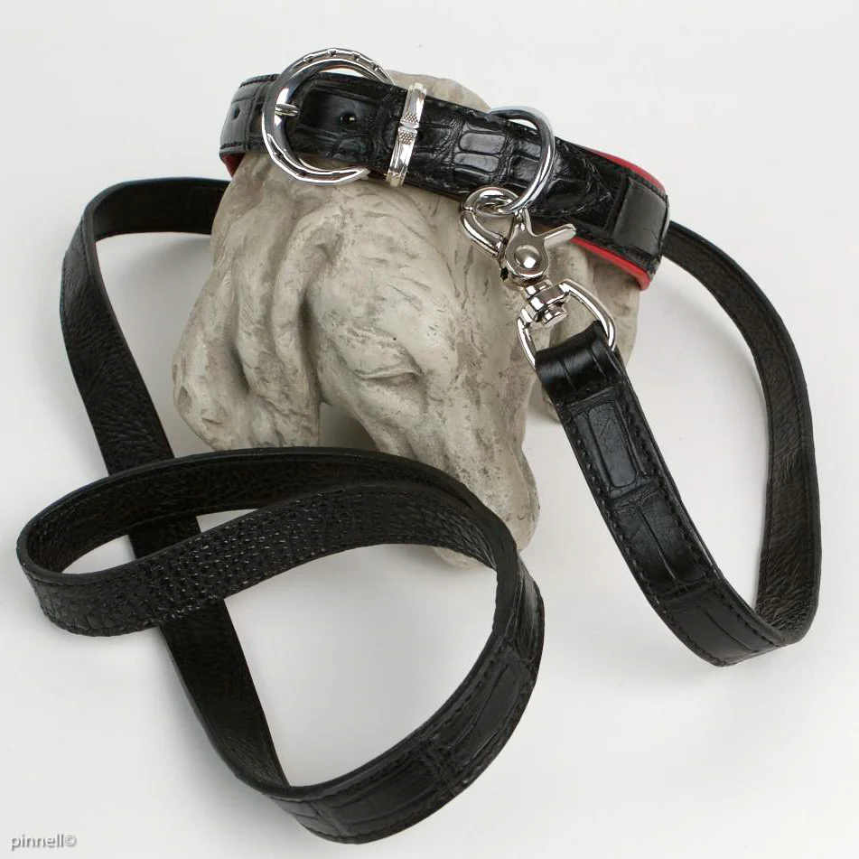 Alligator Dog Collar and Leash