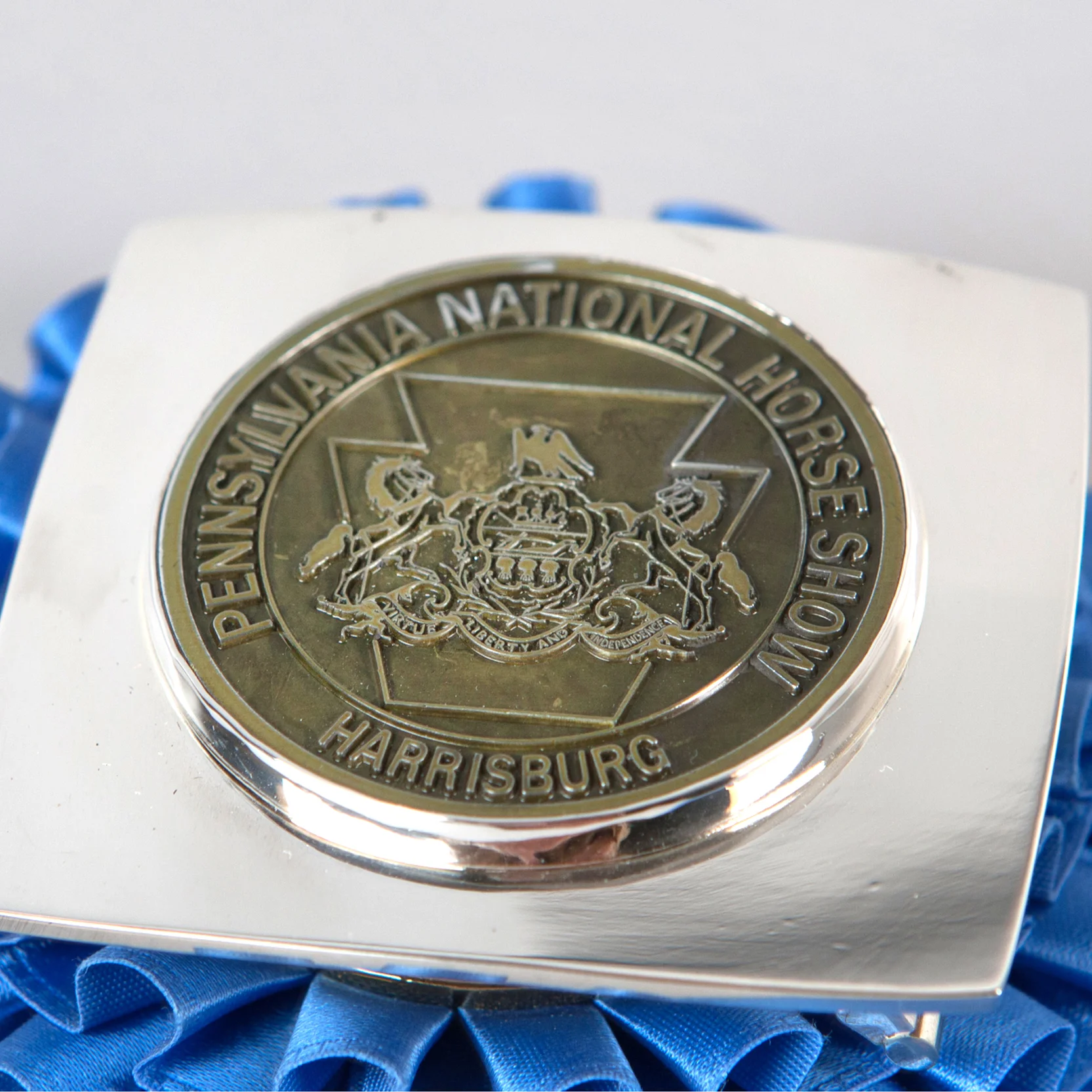 Ribbon Medallion Plate