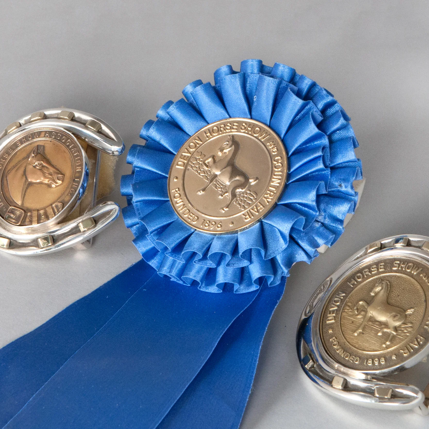 Horseshoe Ribbon Medallion