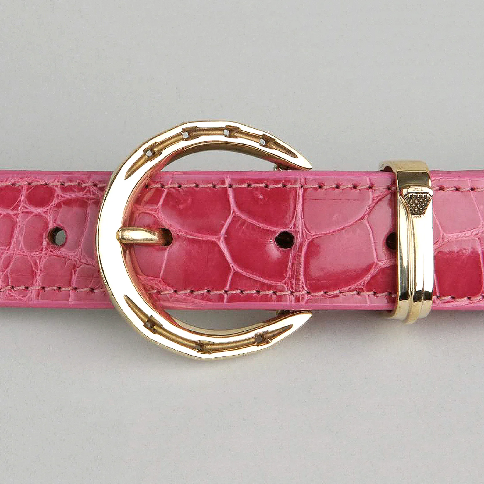 Horseshoe Set