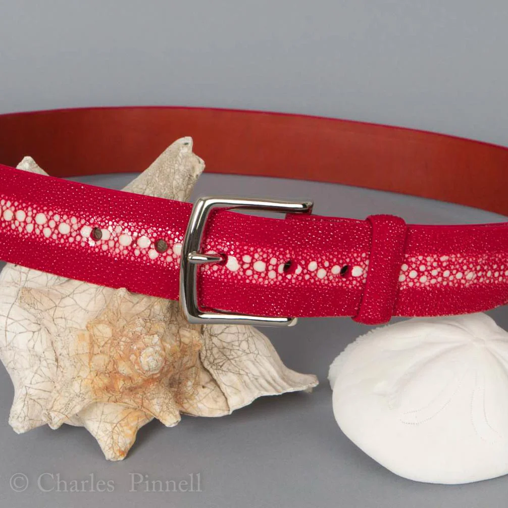 Stingray Belt