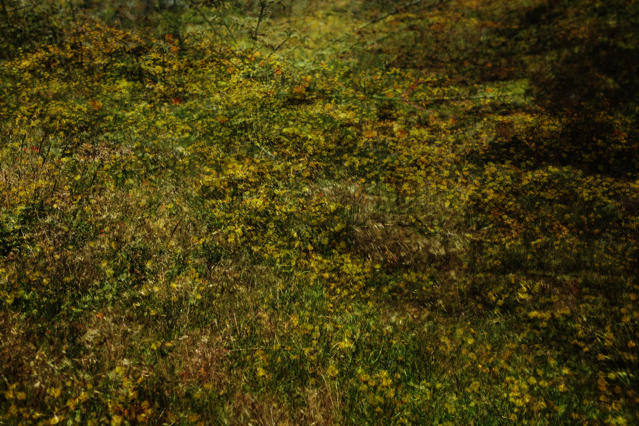  6"x4" aluminum print 