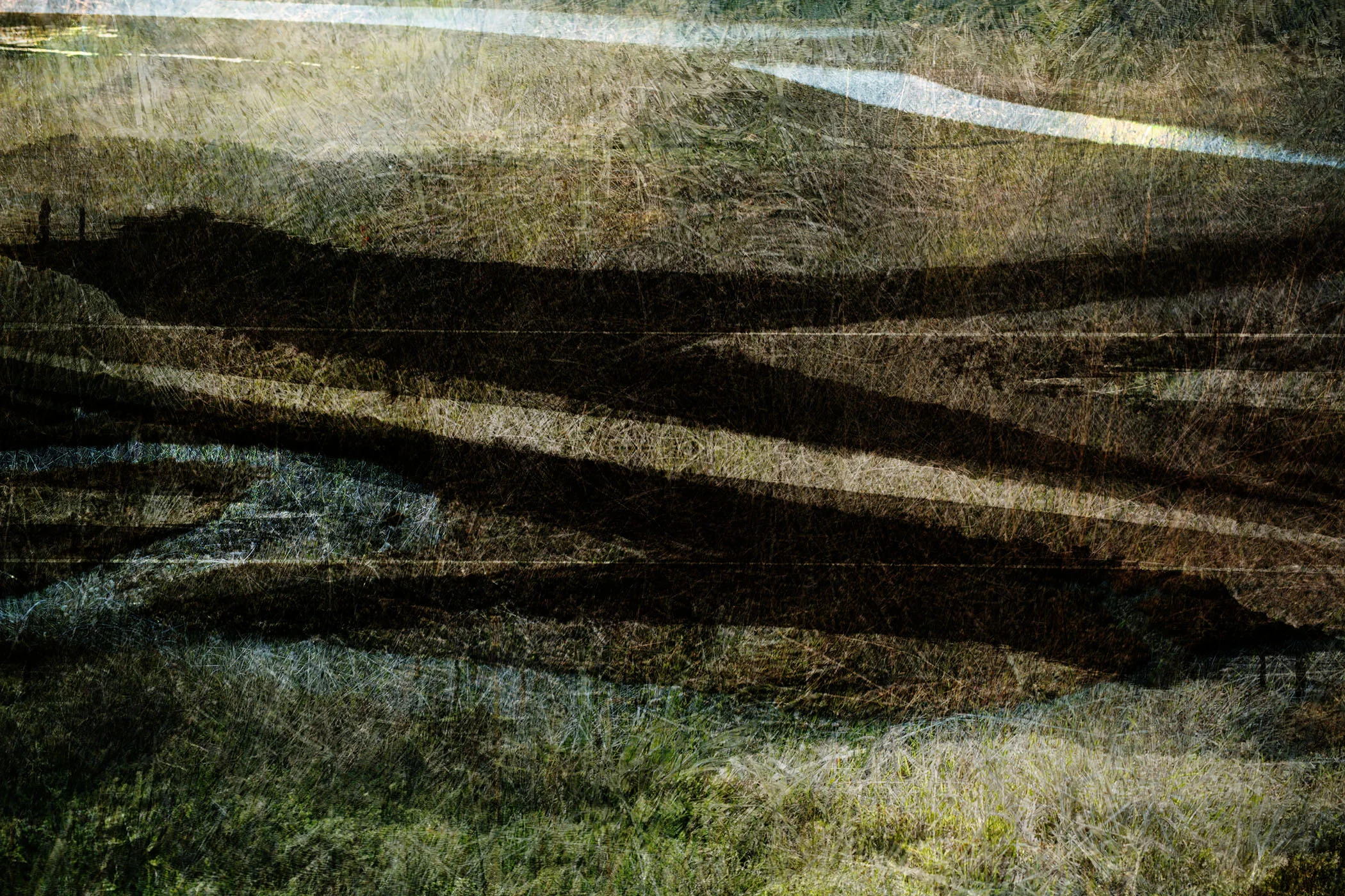 Marin Landscape 2