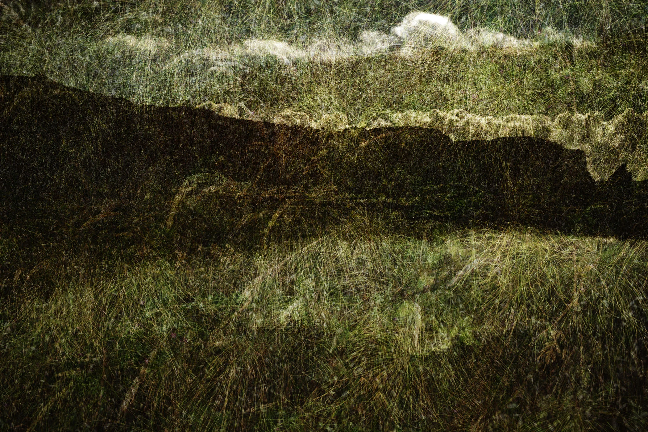 Marin Landscape 22