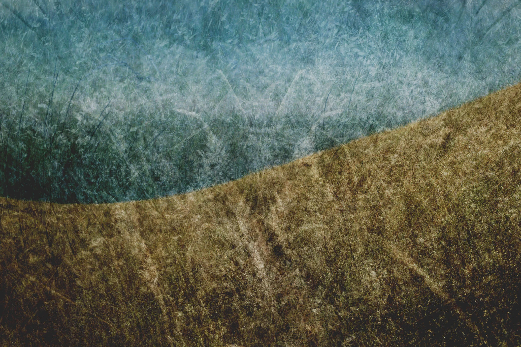 Marin Landscape 31