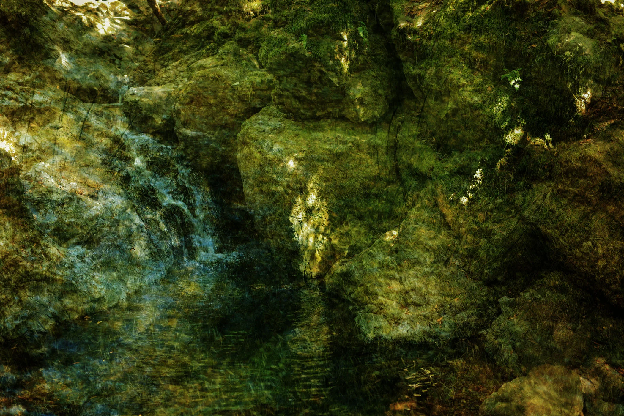 Marin Landscape 41