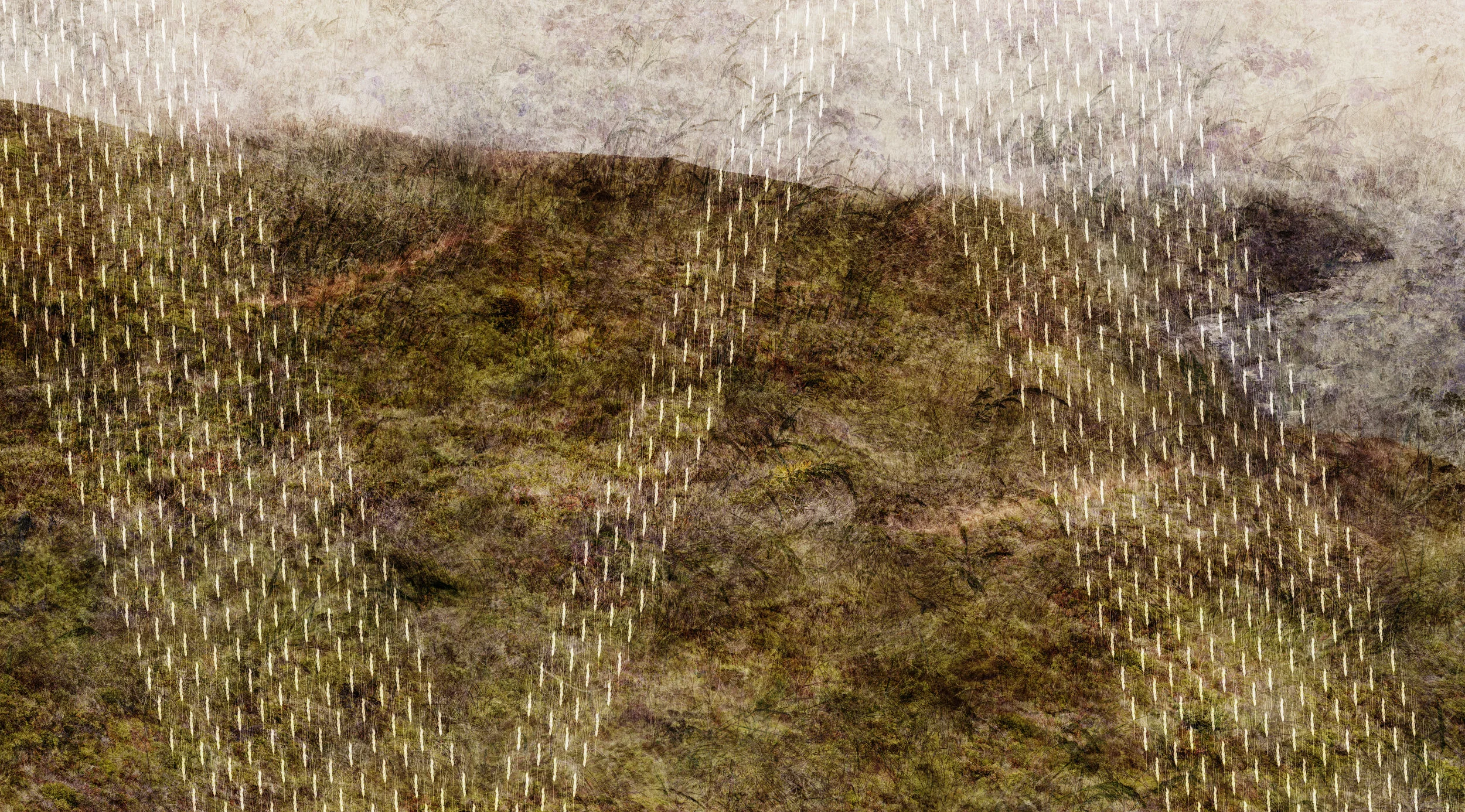 Muir Coast Barley 11 (detail)
