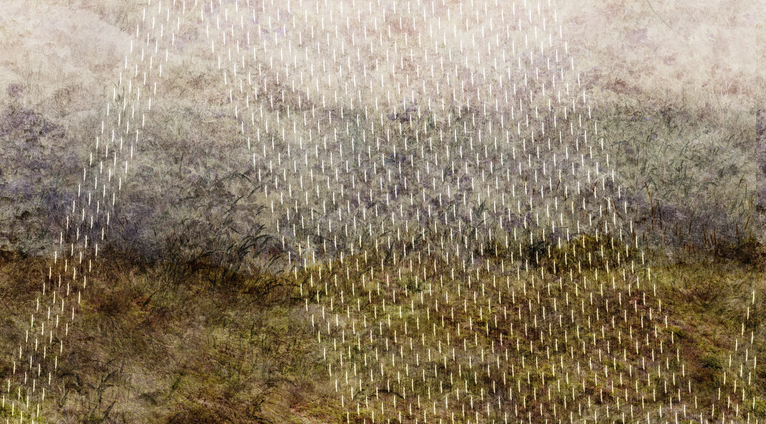 Muir Coast Barley 11 (detail)