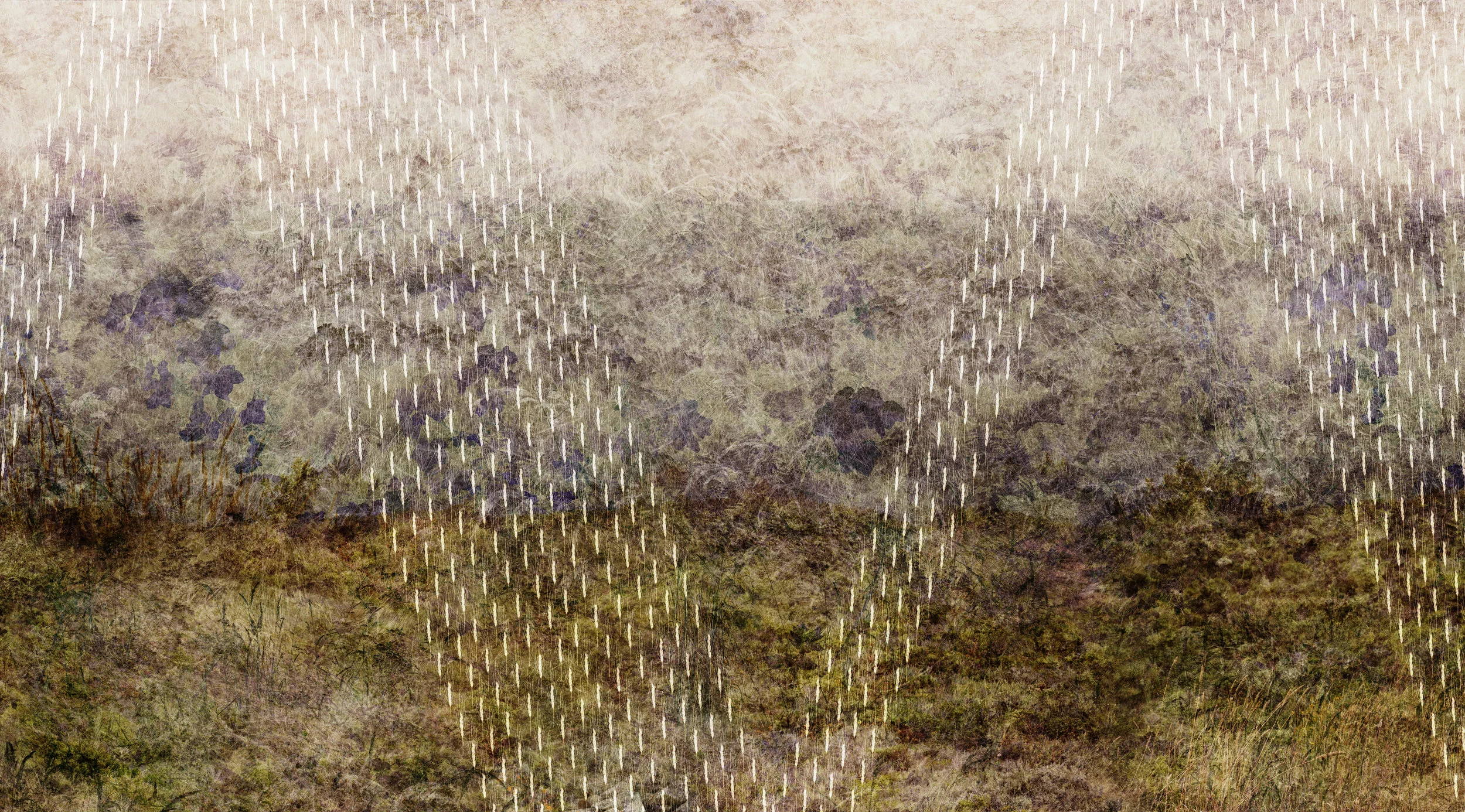 Muir Coast Barley 11 (detail)