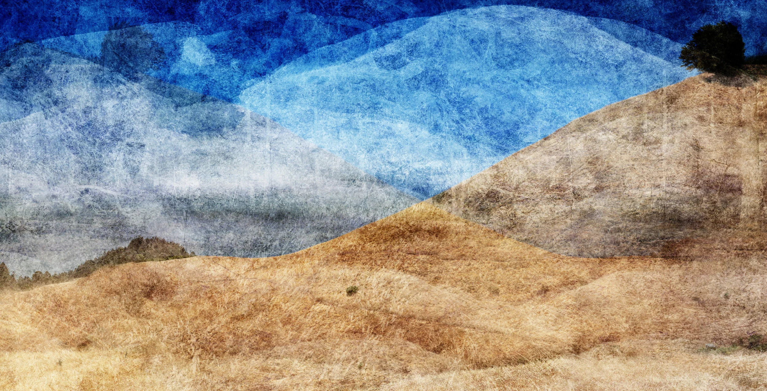 Tamalpais Hill 5 (detail)