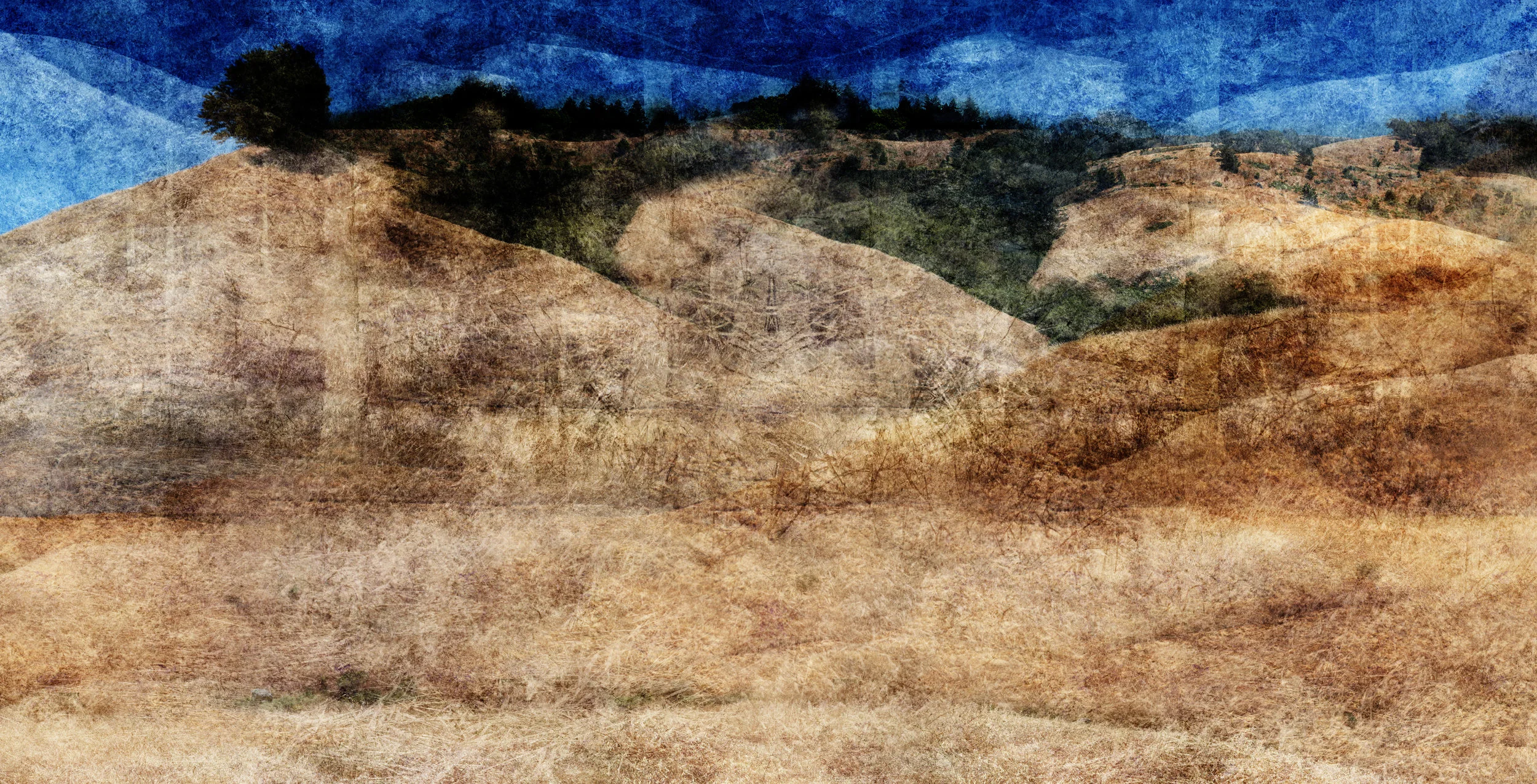 Tamalpais Hill 5 (detail)
