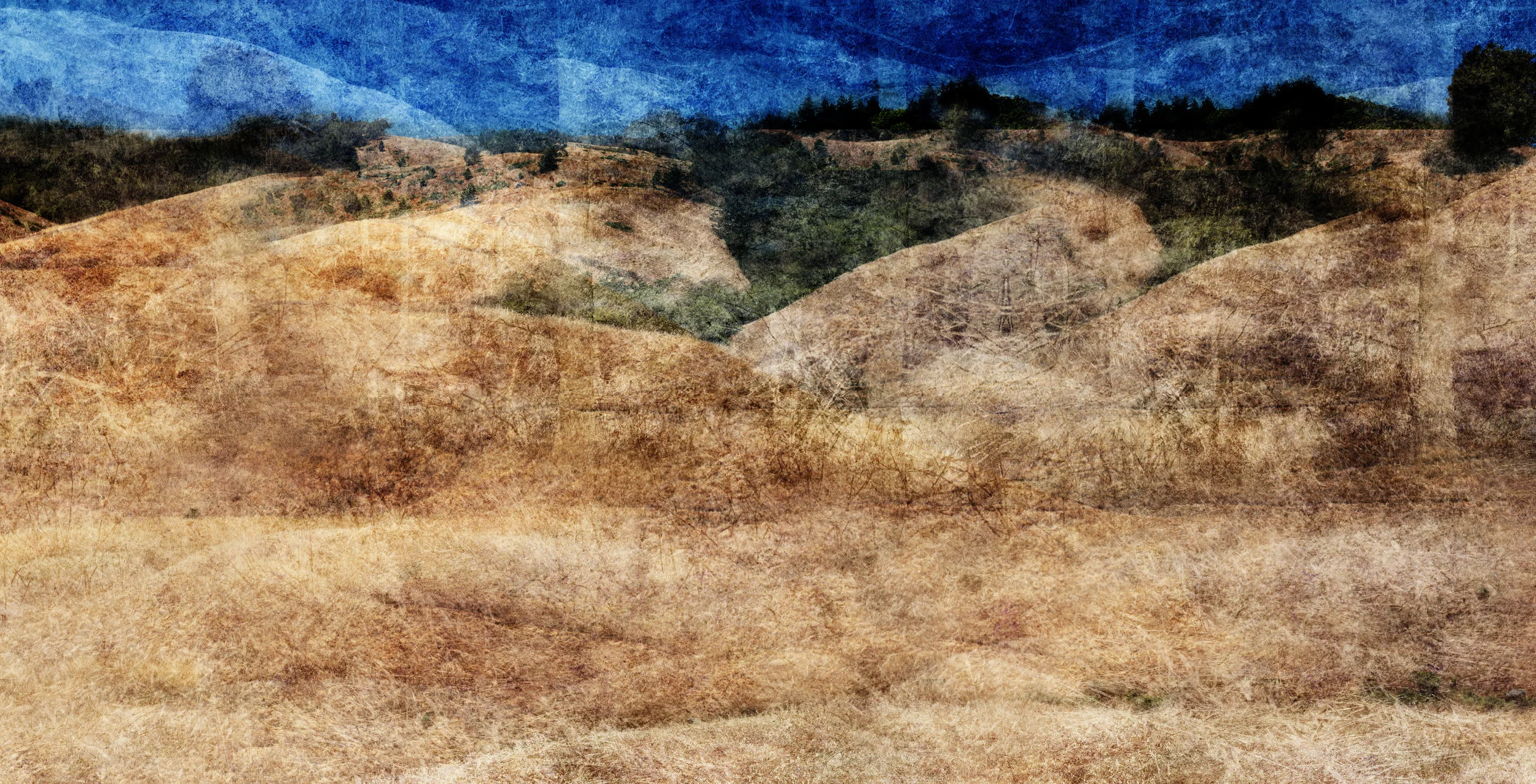 Tamalpais Hill 5 (detail)