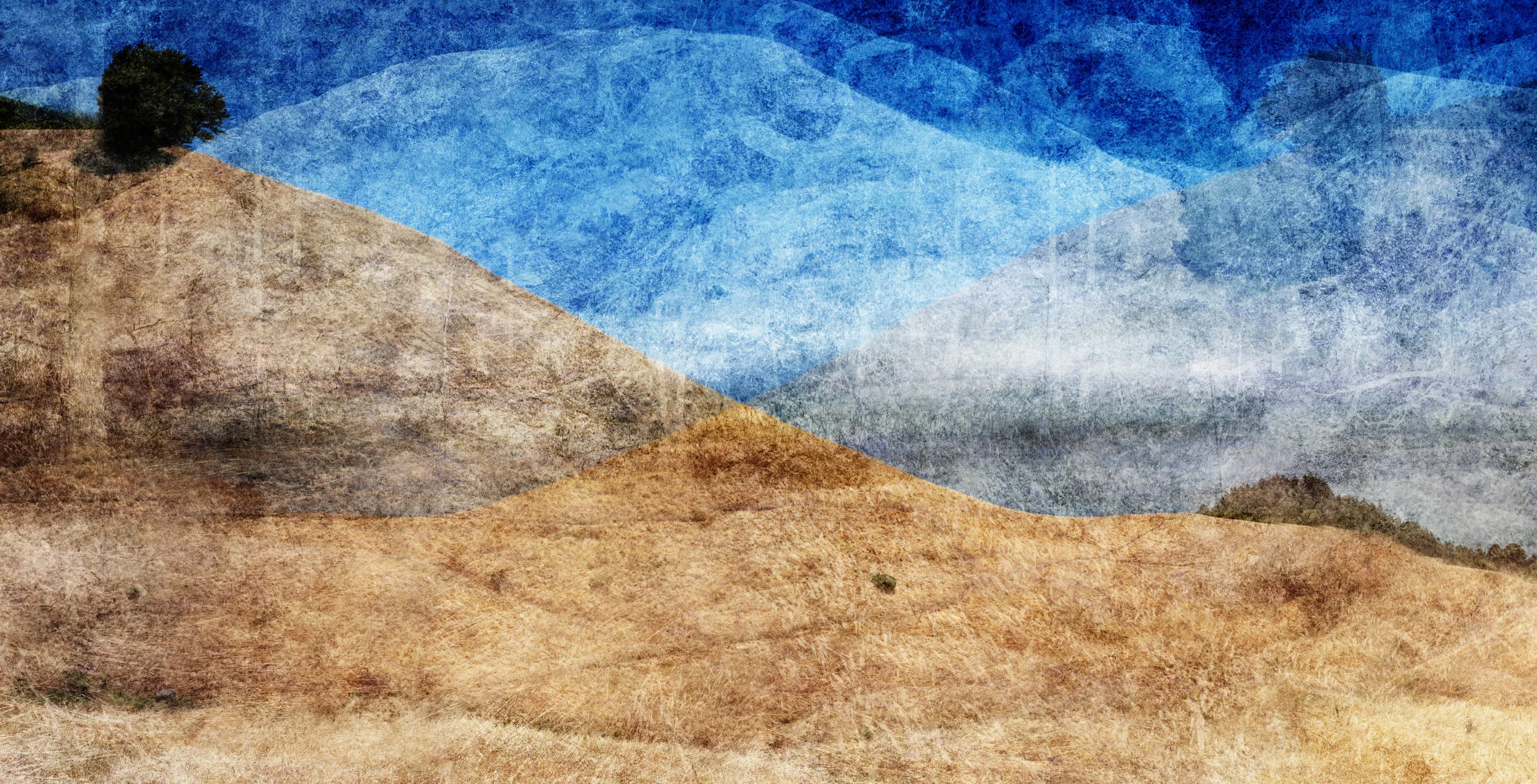 Tamalpais Hill 5 (detail)