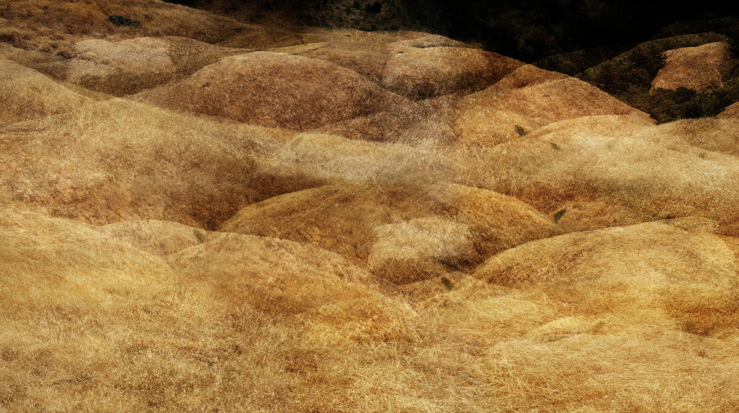 Tamalpais Hill 3 (detail)
