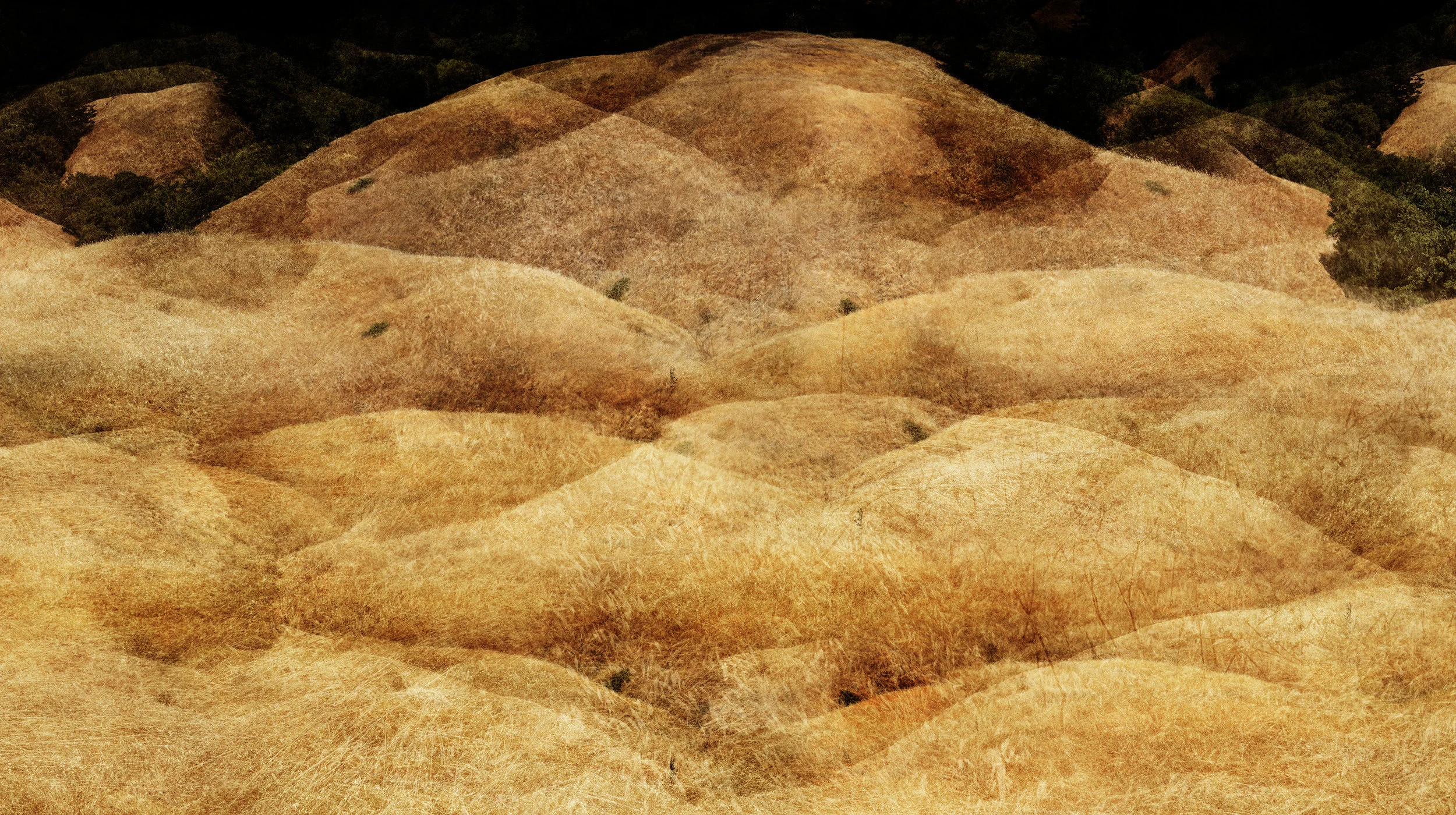 Tamalpais Hill 3 (detail)