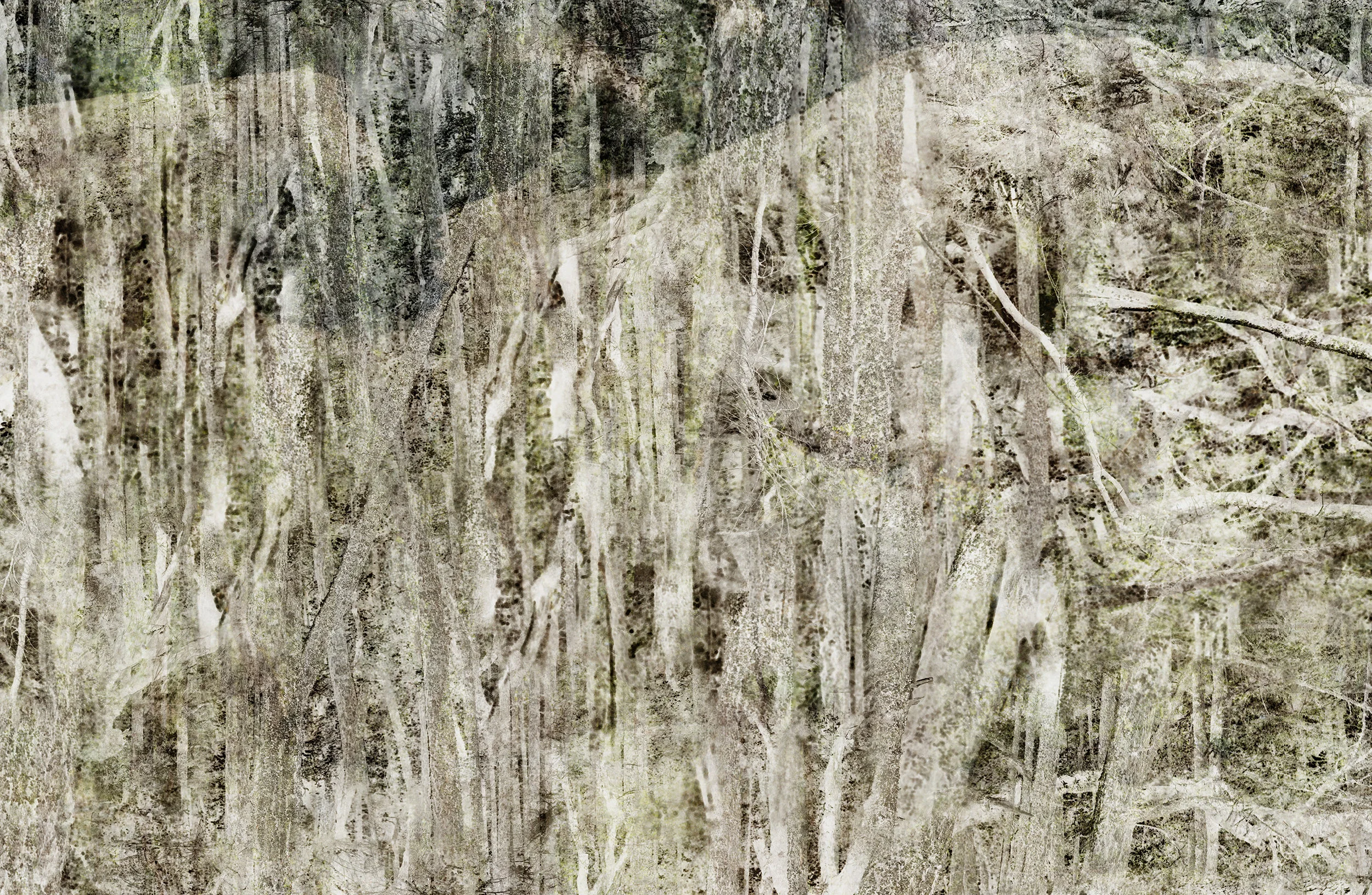 Muir Wood 2 (detail)