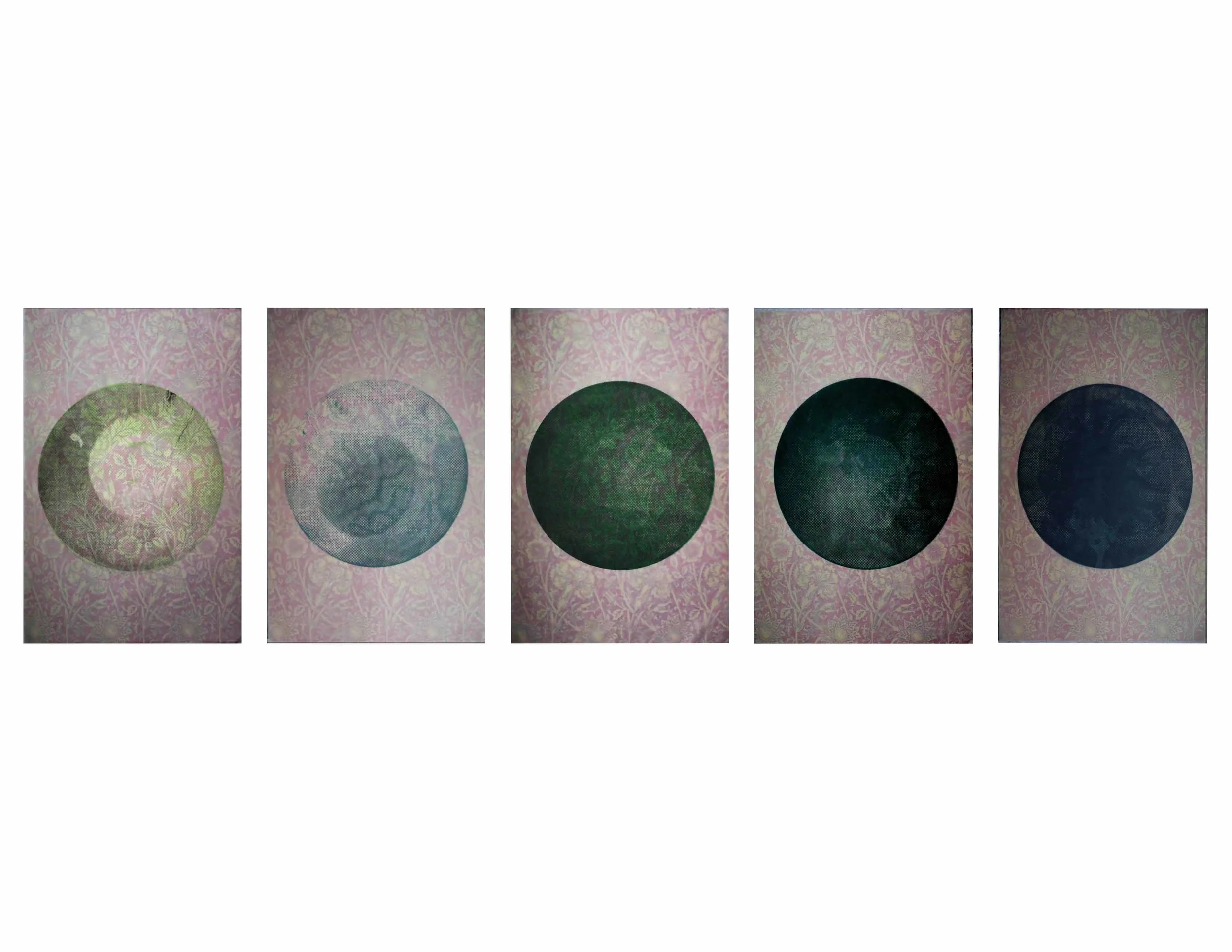 Birth of a Colony - 6 Different Stages Screen Print, mylar, rice paper & digital print 20 x 30" (Each section)