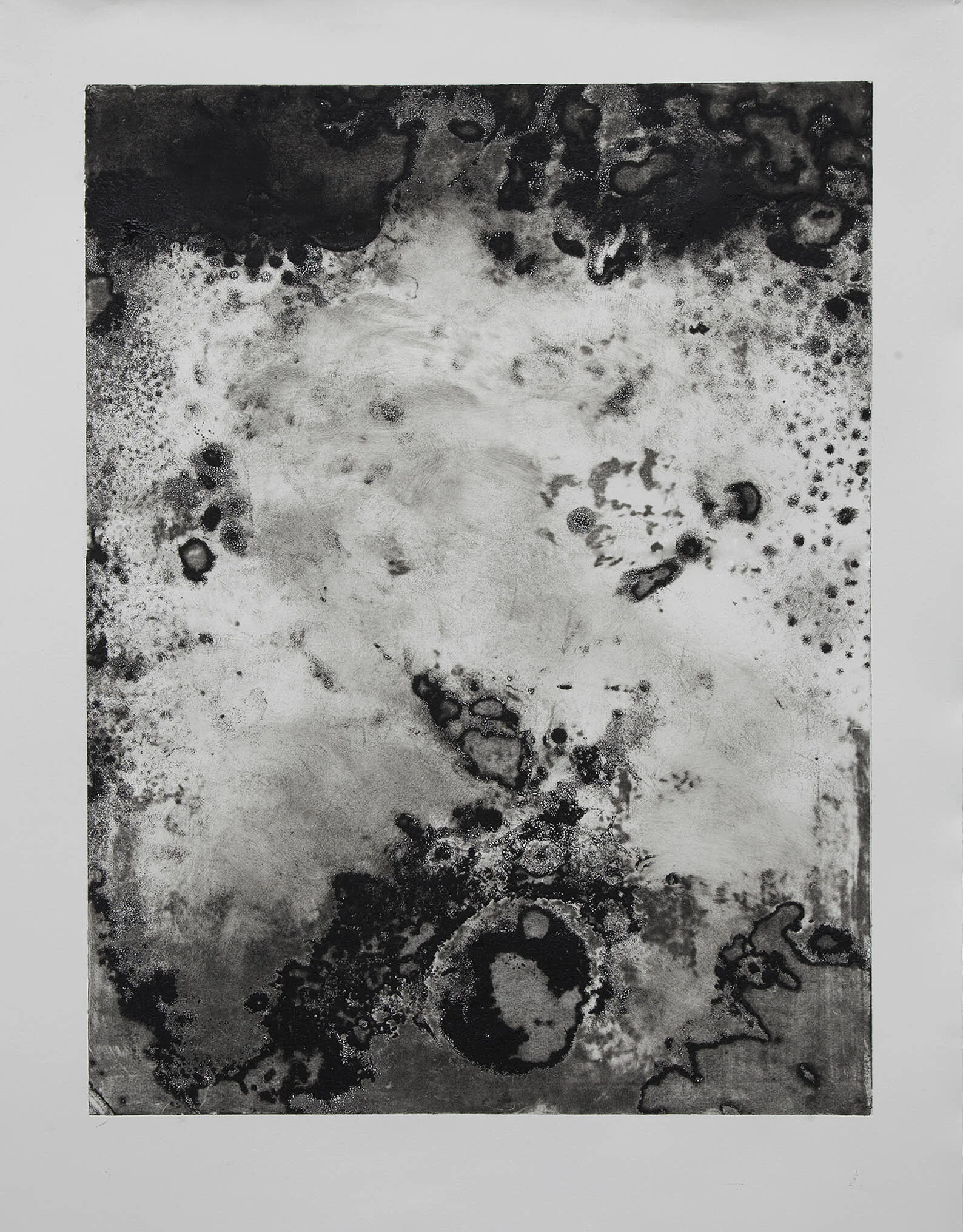 Micro Colonies II Intaglio monotype on arches 38 x 48"