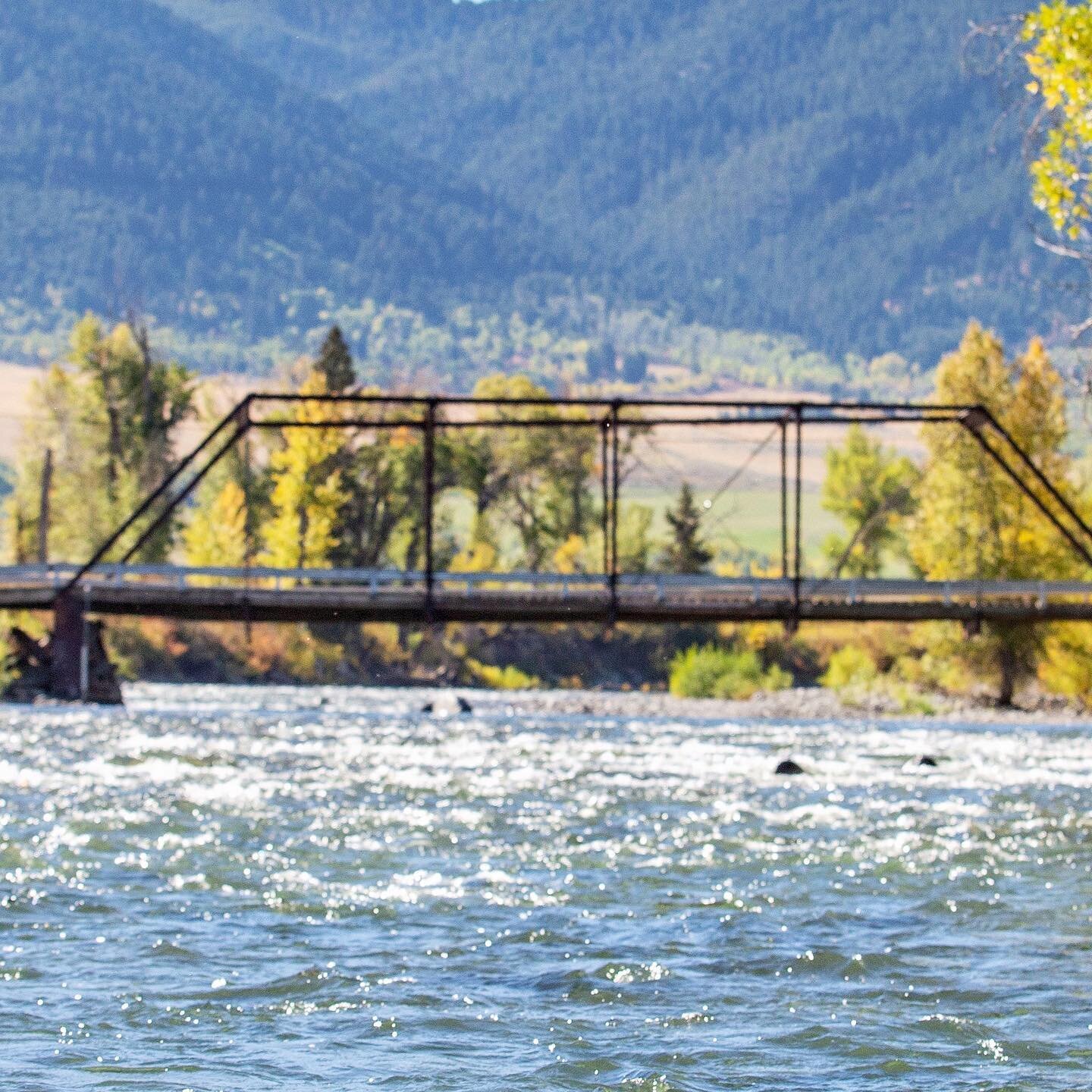 A lil bit of October at the beginning of November (2/3) 🙊🍁📸
.
.
.
.
.
#travelphotography #travelmore #instapassport #worktrip #behindthescenes #bts #canonusa #outdoors #river #travelphotographer #visitmontana #montana #bigsky #visitbigsky #visitus