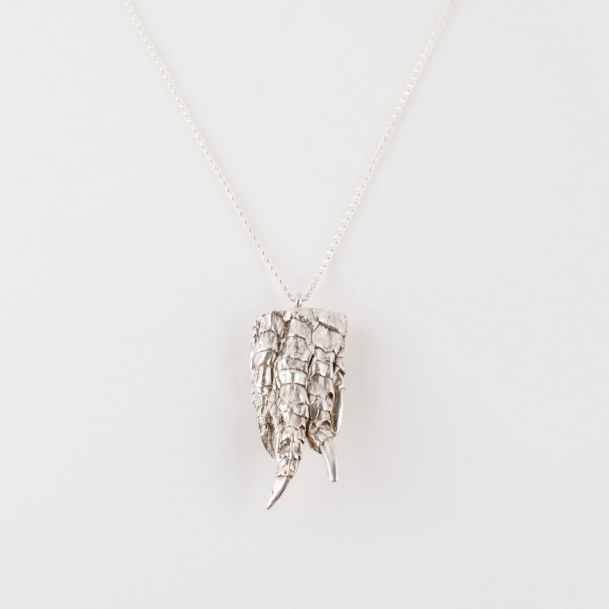 Silver Gator Paw.jpg