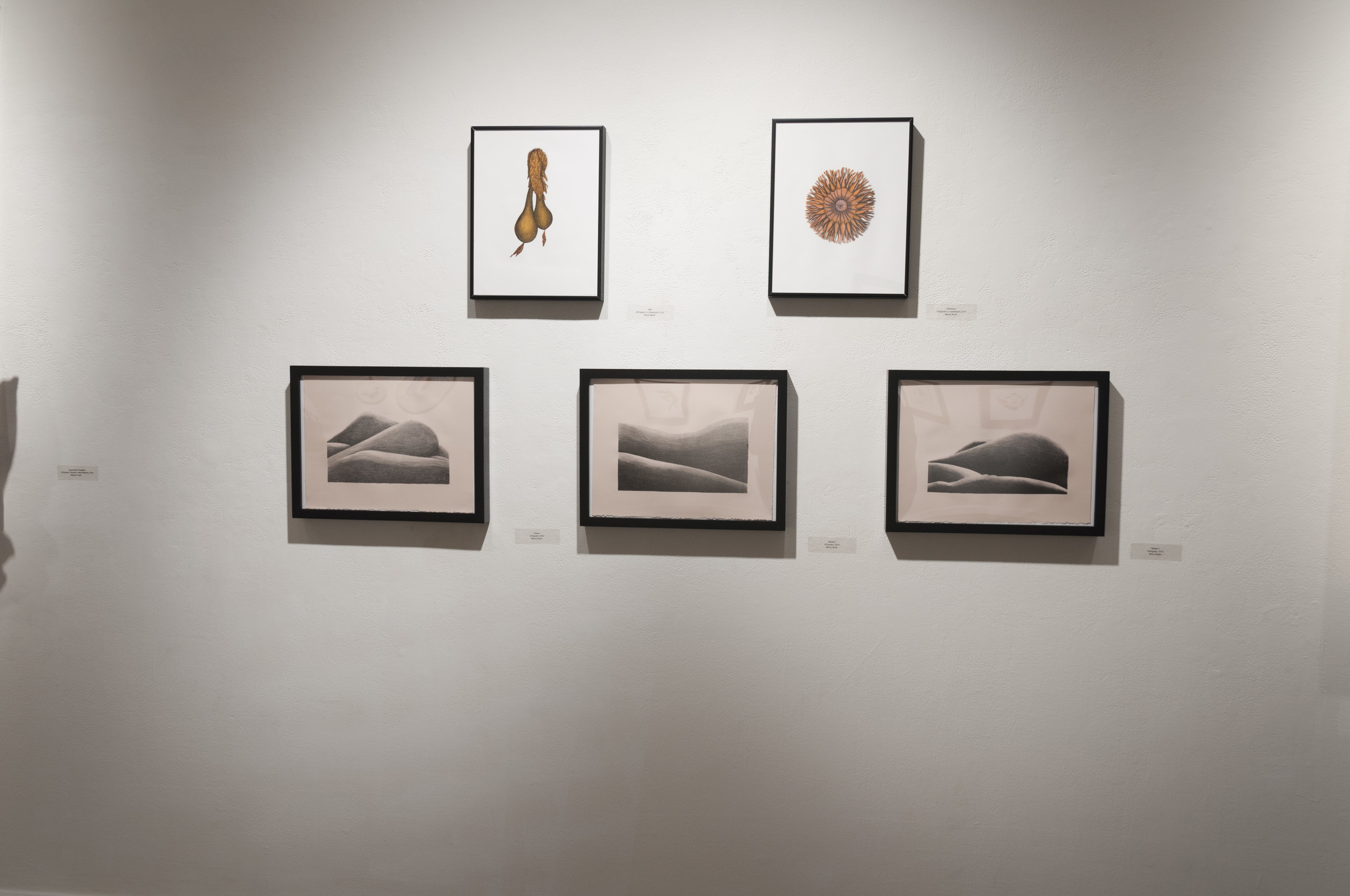 CCA Digital Hybrid Printworks: Student Exhibition