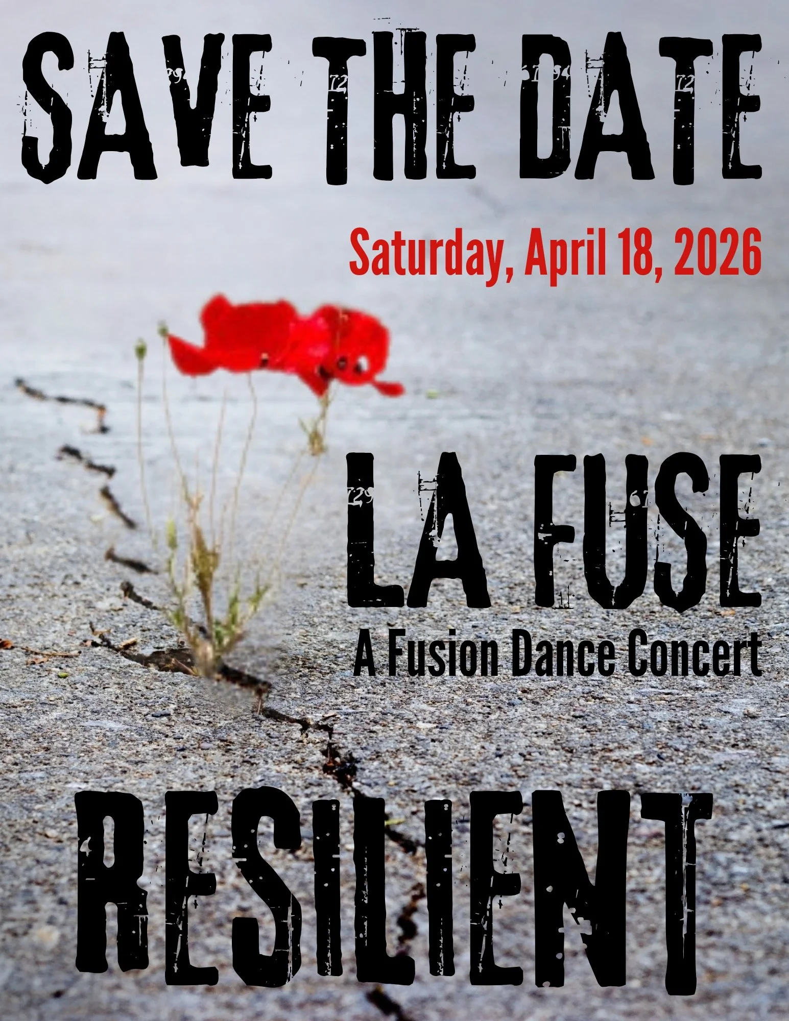 LA behind the flowers.jpg