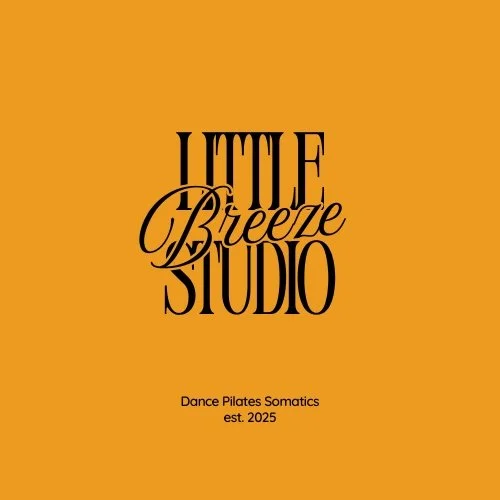 Little Breeze Studio logo block.jpg