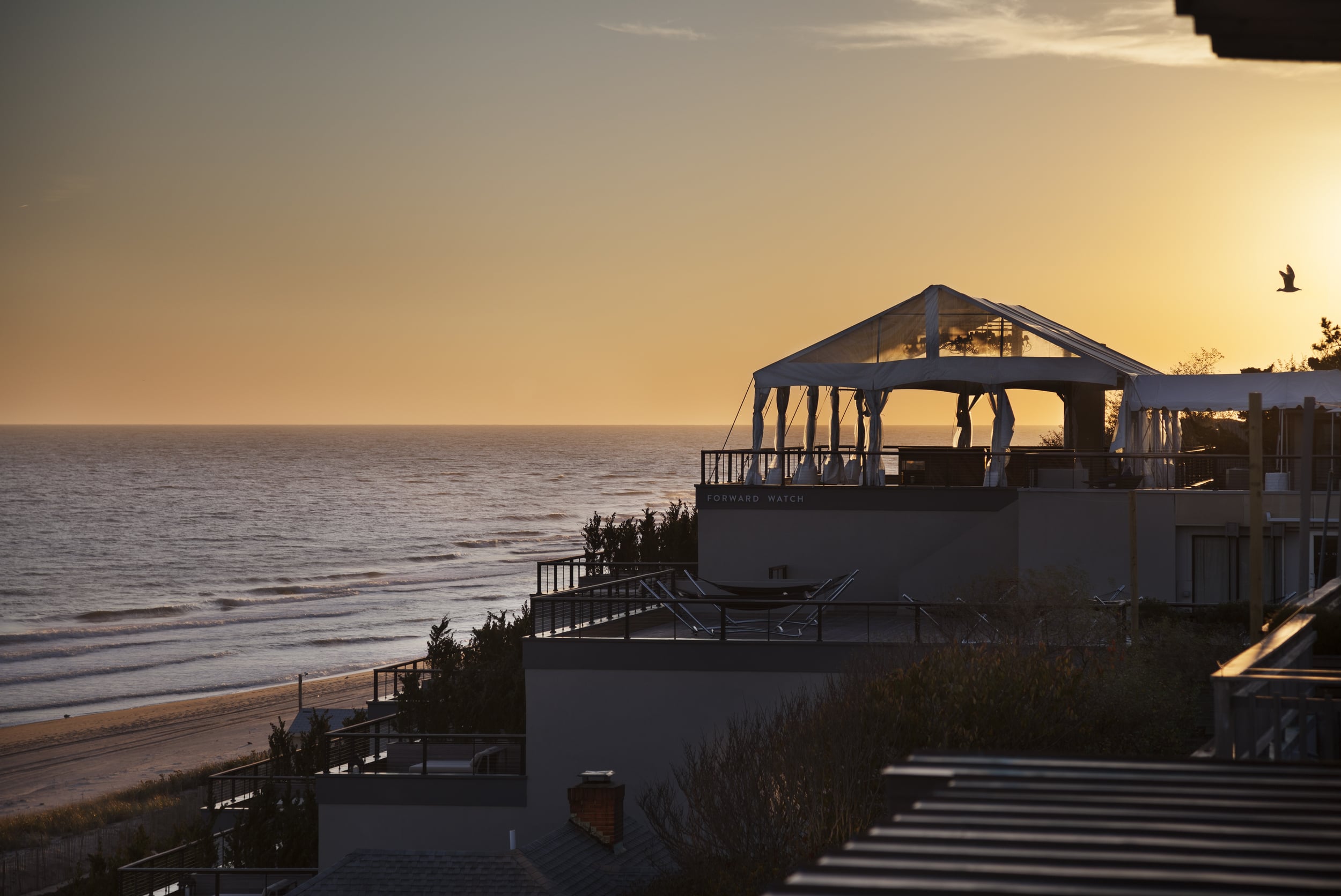 Jeremy Powitz sunset beach.jpg