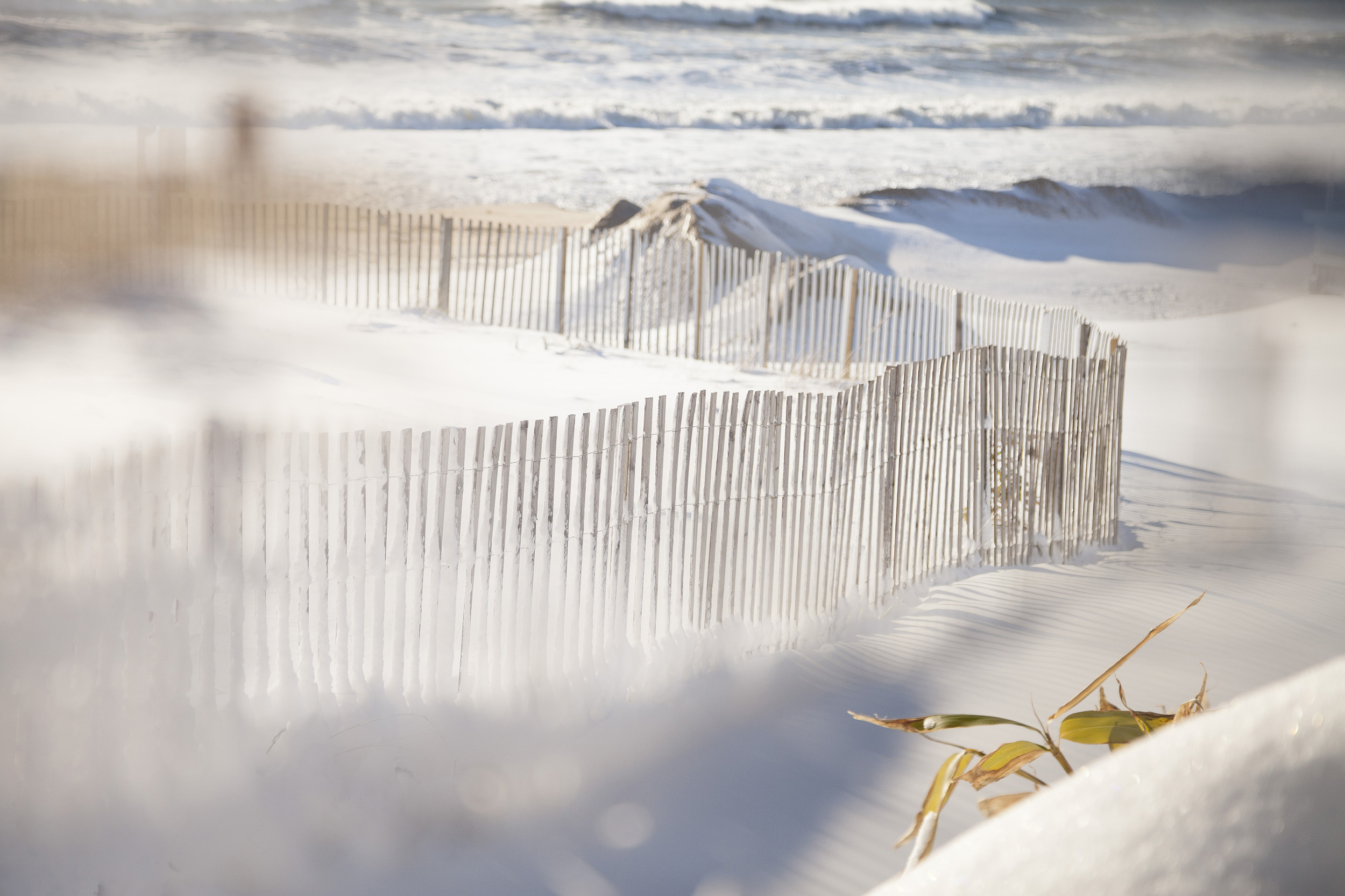 Jeremy Powitz Gurneys Snow Fence Small.jpg