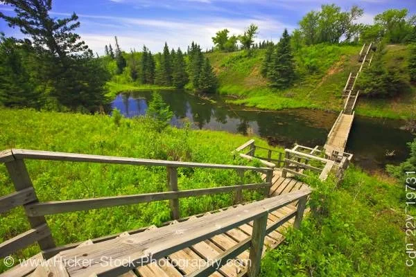 Spruce Woods.jpg