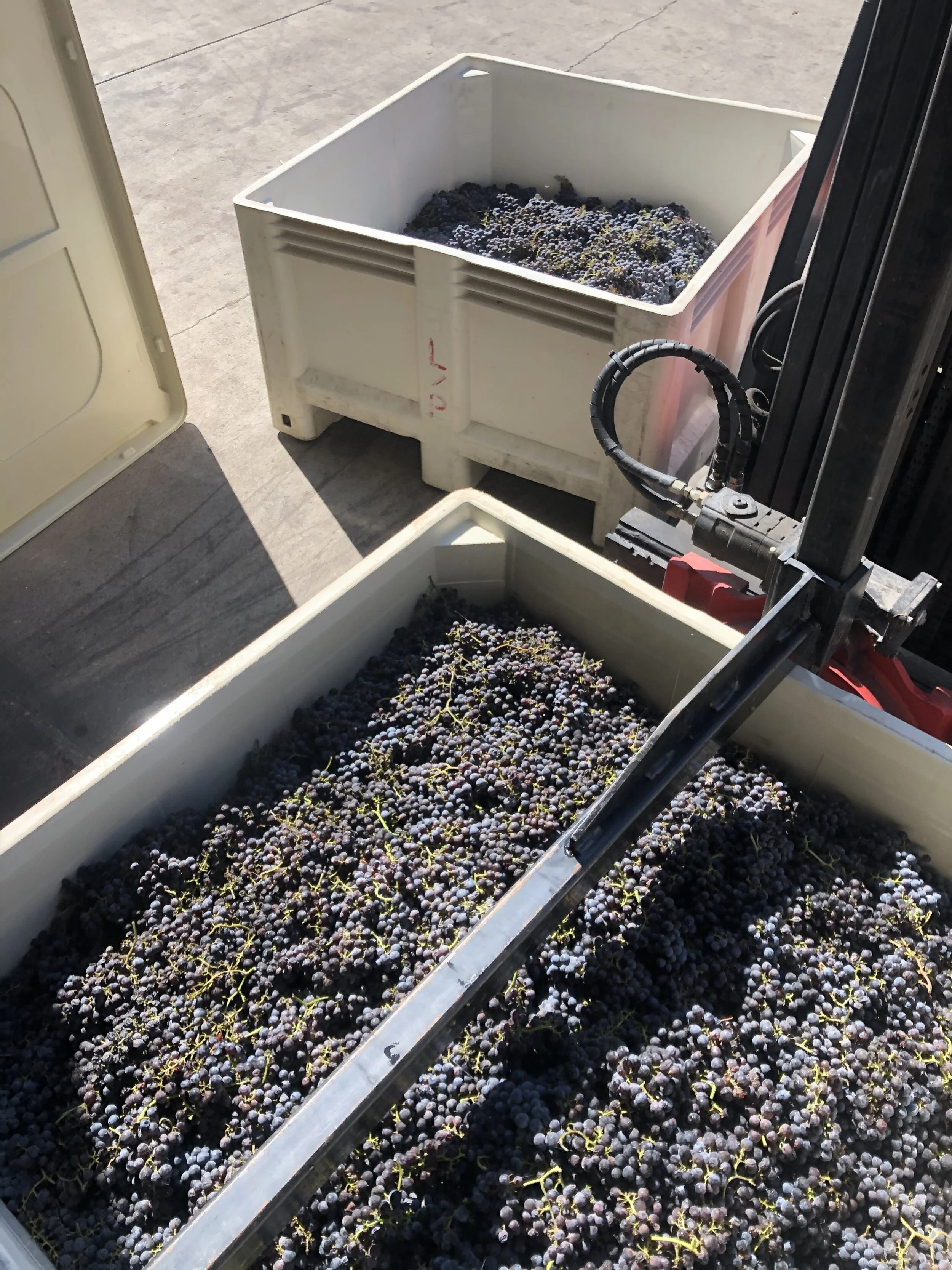 Ready for the crusher