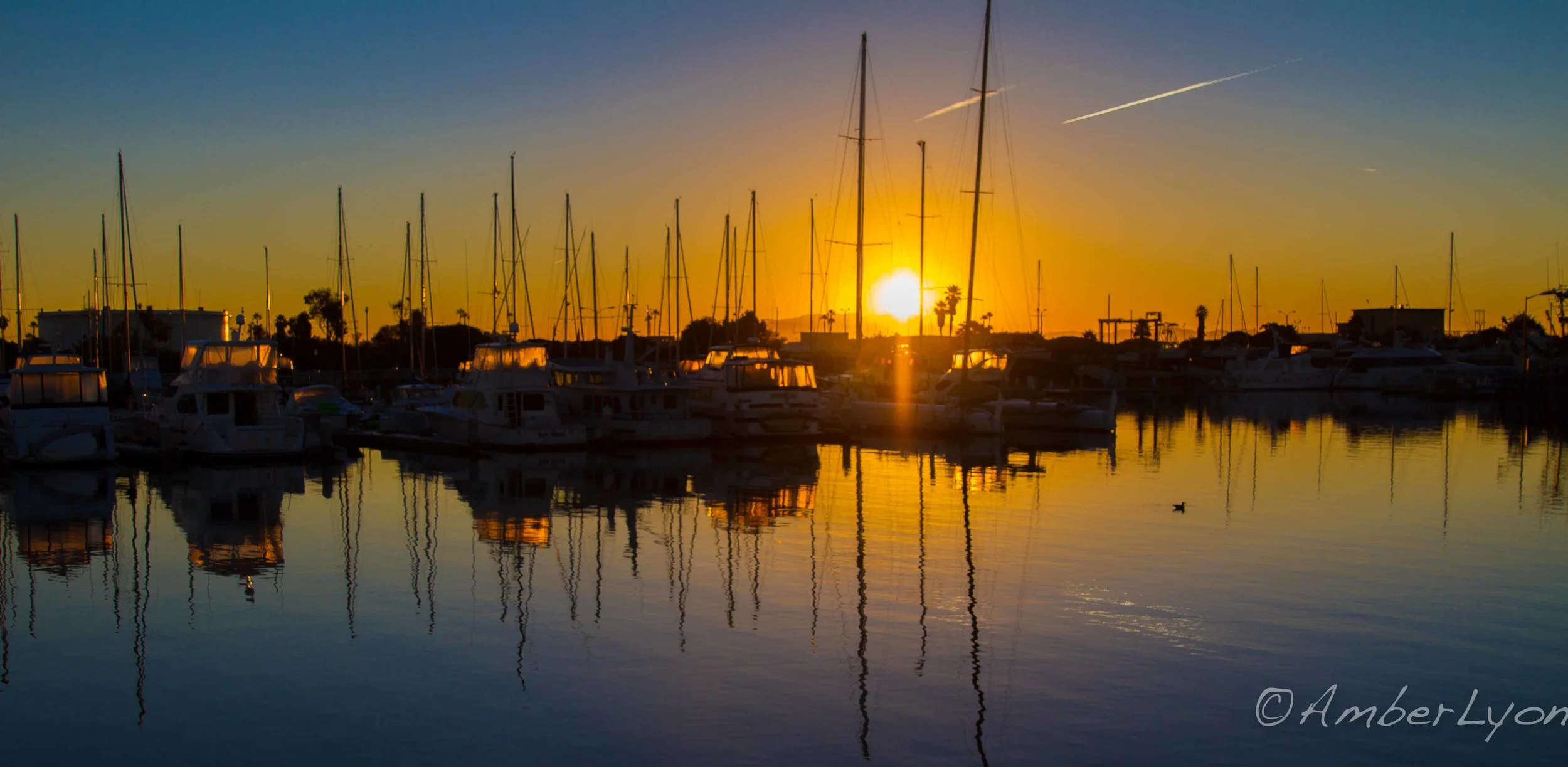 ventura-3.jpg