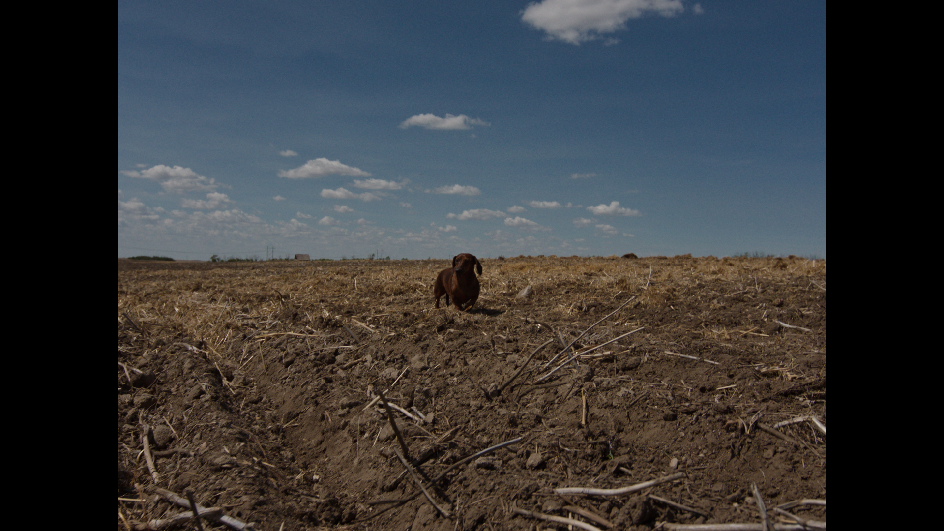 thauberger_alsfarm_1.62.1.png