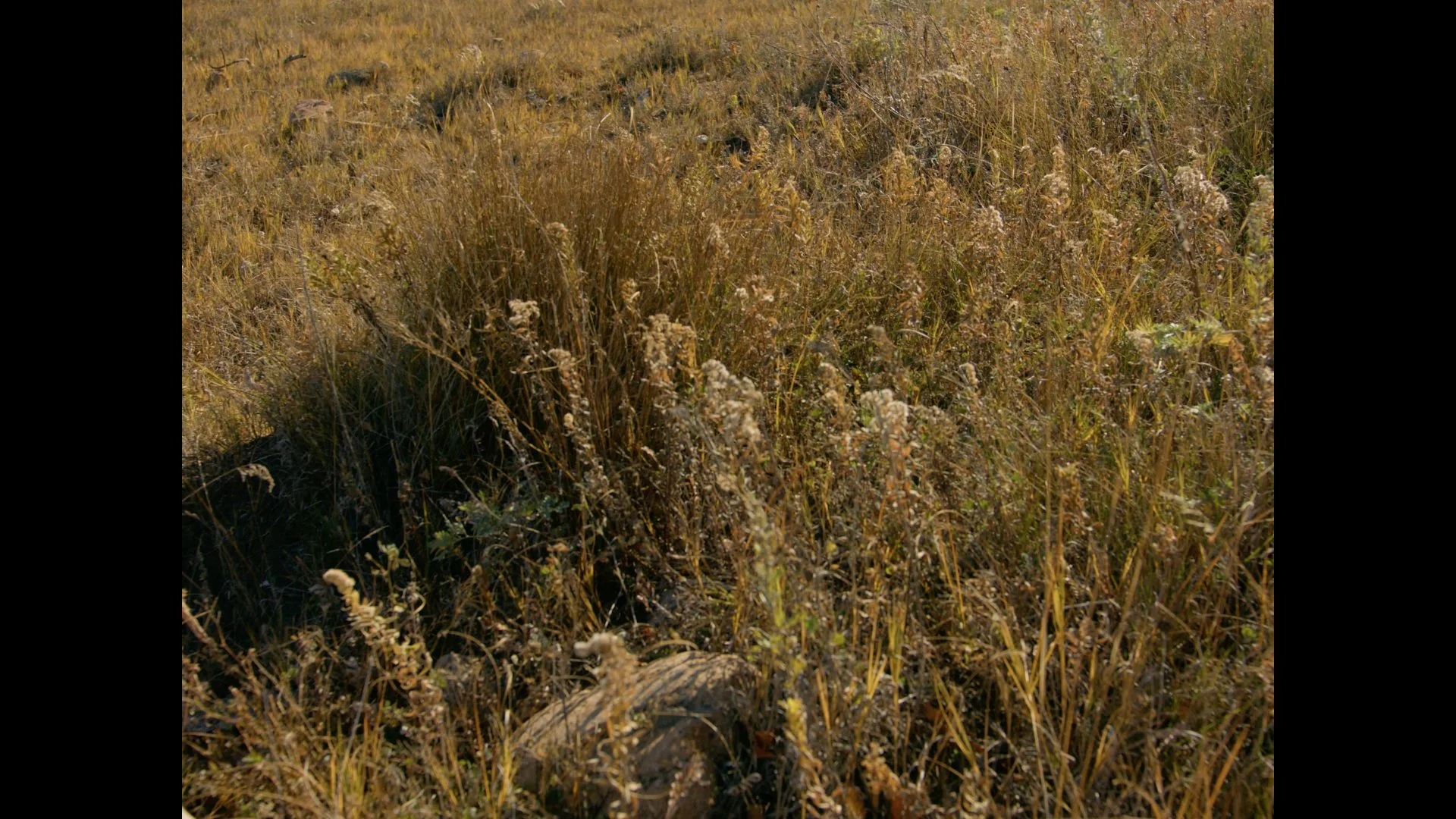 thauberger_oct18_1.73.1.jpg