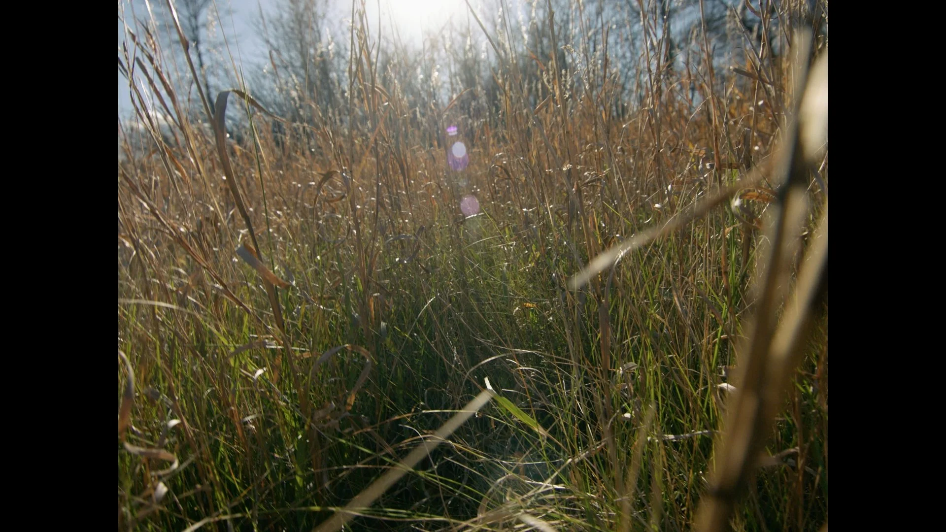thauberger_oct18_1.108.1.jpg