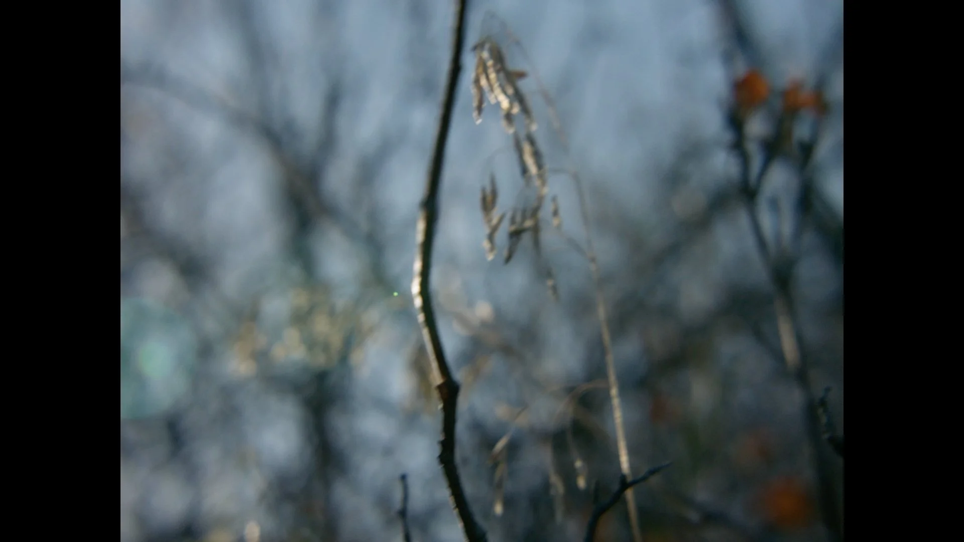 thauberger_oct18_1.114.1.jpg