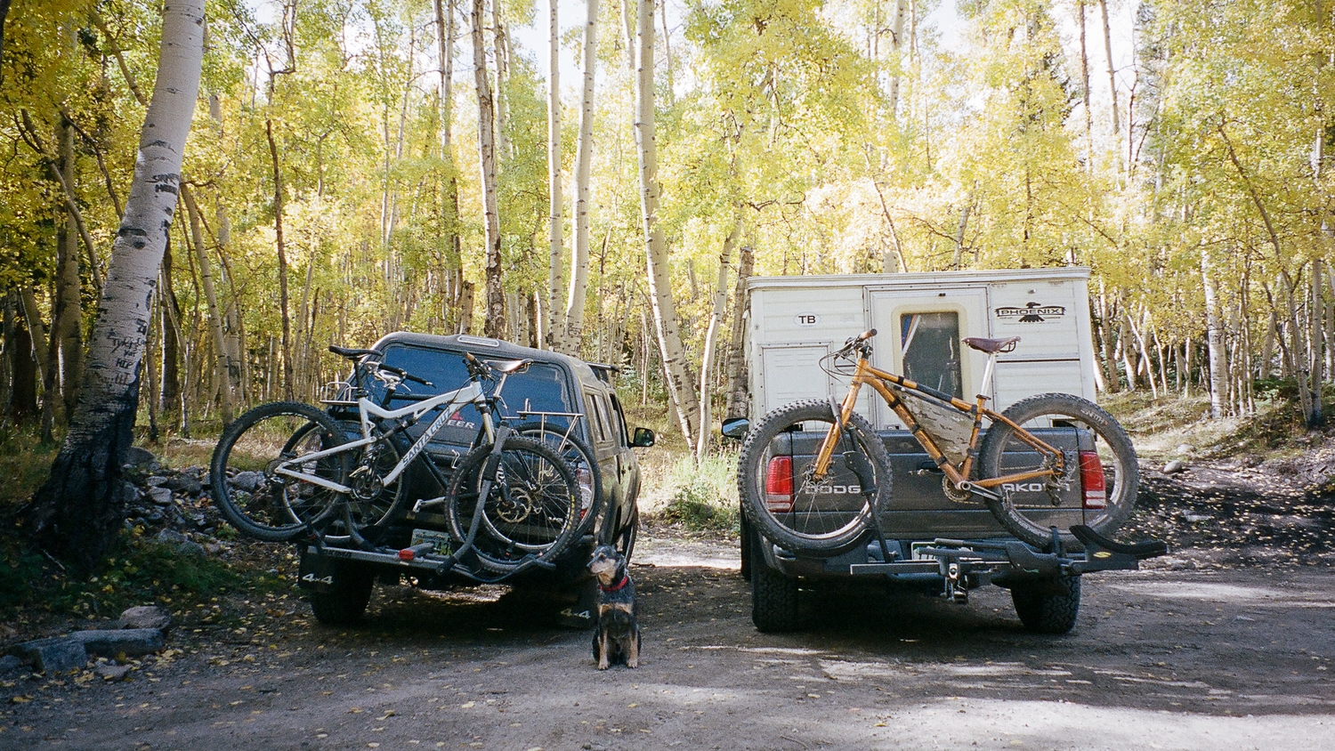 Decent start/finish line amongst the changing aspens