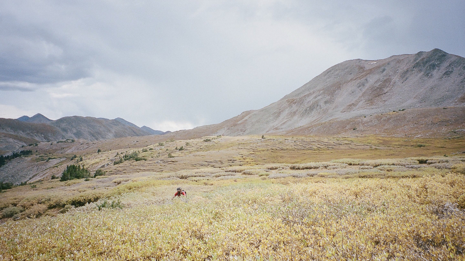 rollin' deep through the alpine meadows, only a little bit concerned about the storm clouds gathering on the high peaks