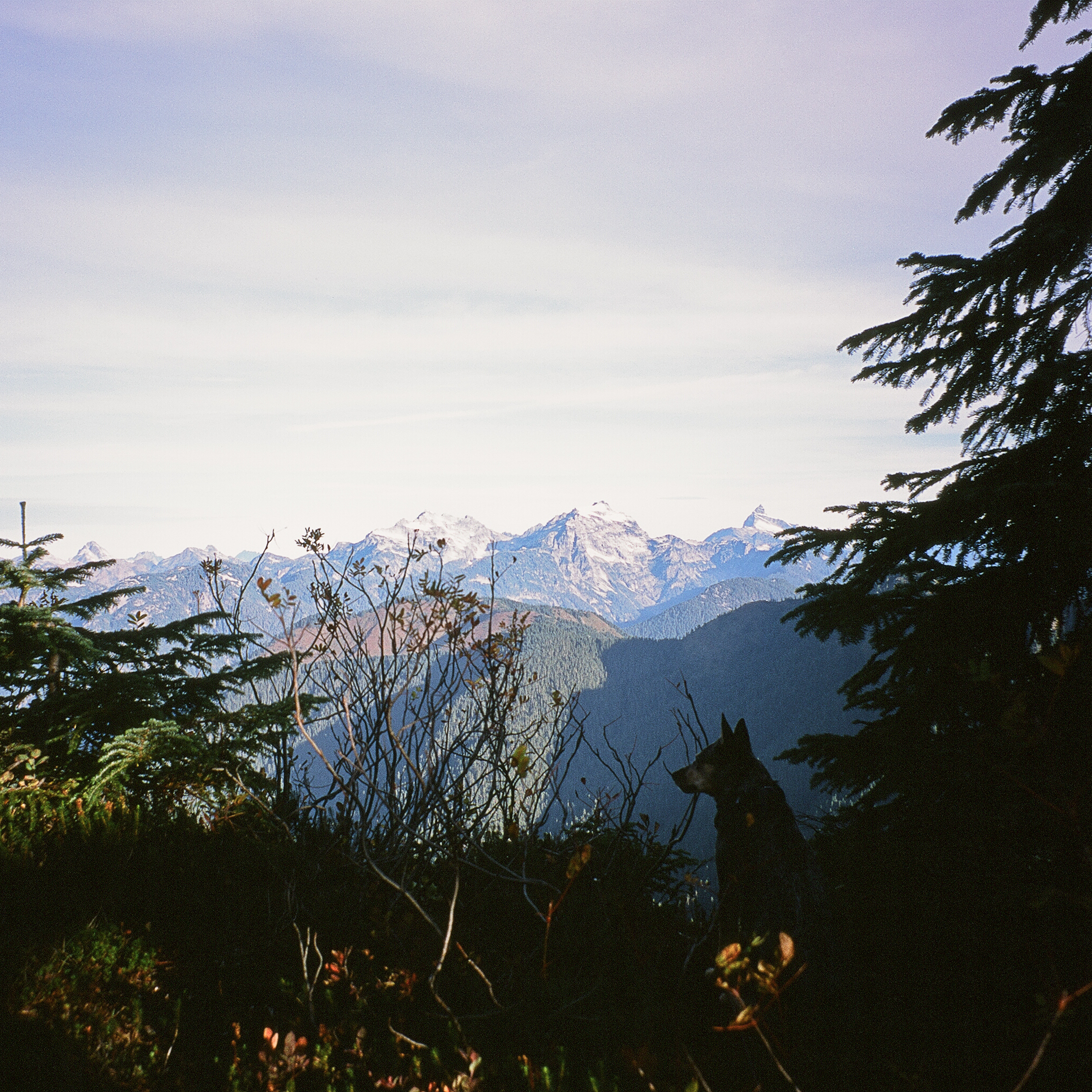 Of course, part of the draw of the Fire Lookout is in the wide open alpine views that you can usually only get by climbing above treeline. 