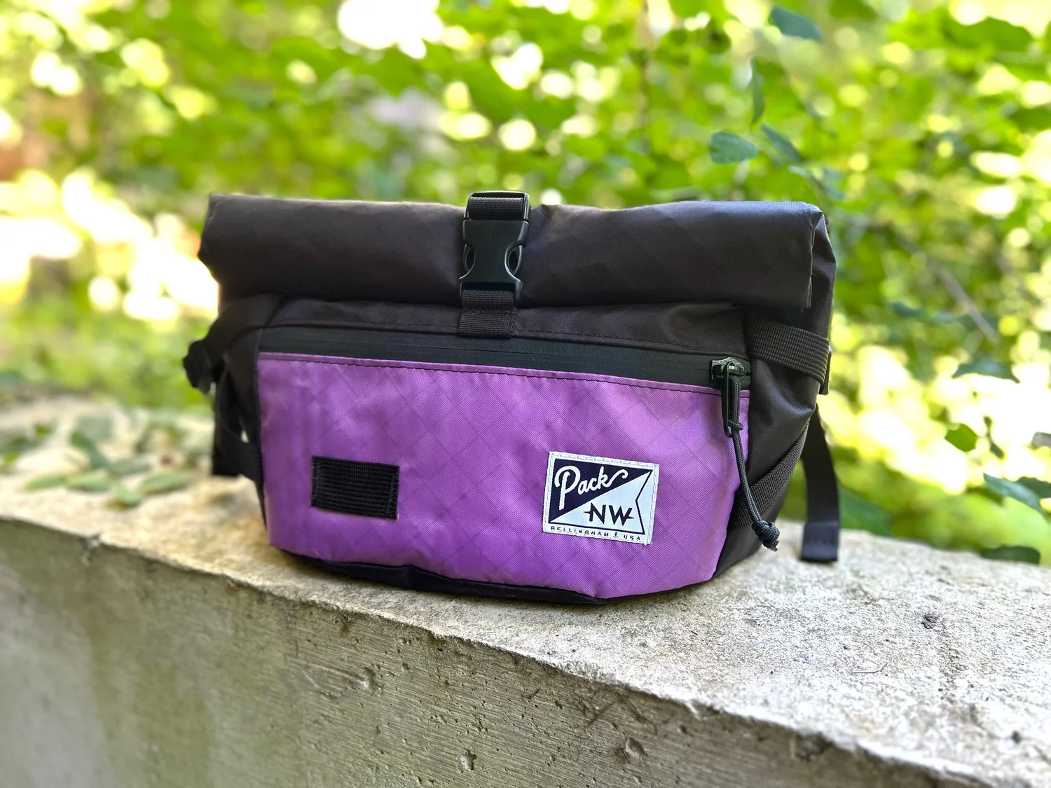 Ridgeline Roll-top Hip Pack — Pack Northwest